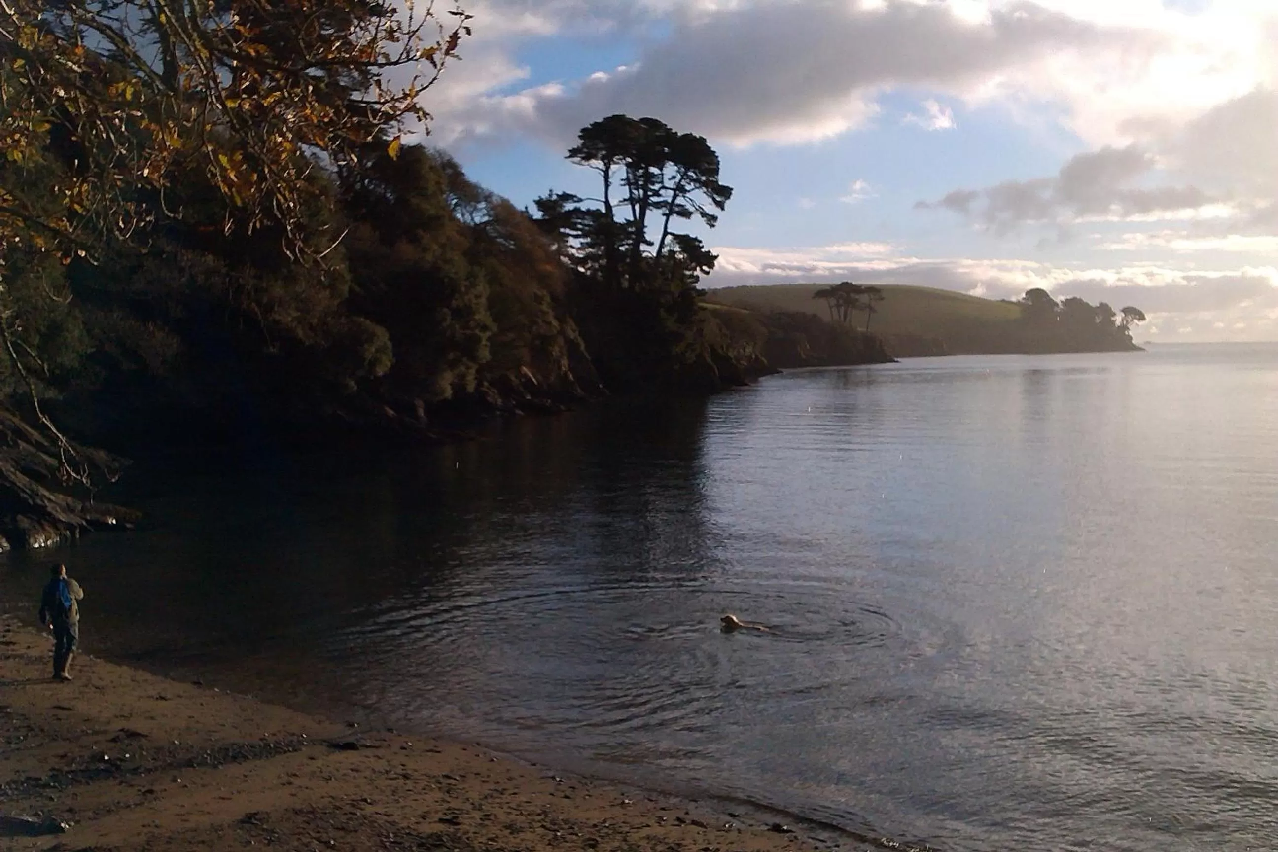 Area and facilities in Fig Tree House