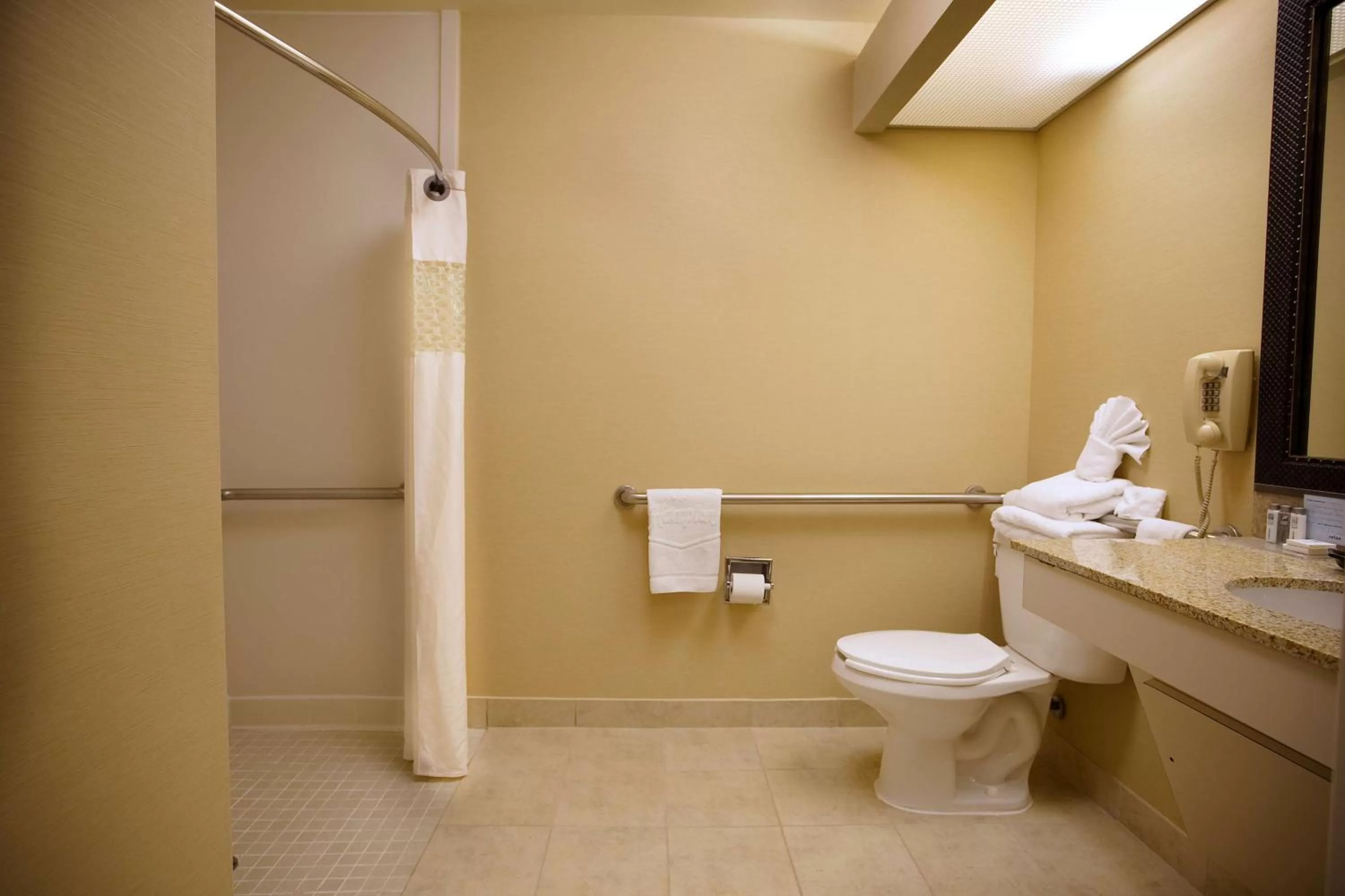 Bathroom in Hampton Inn Atlanta-Newnan