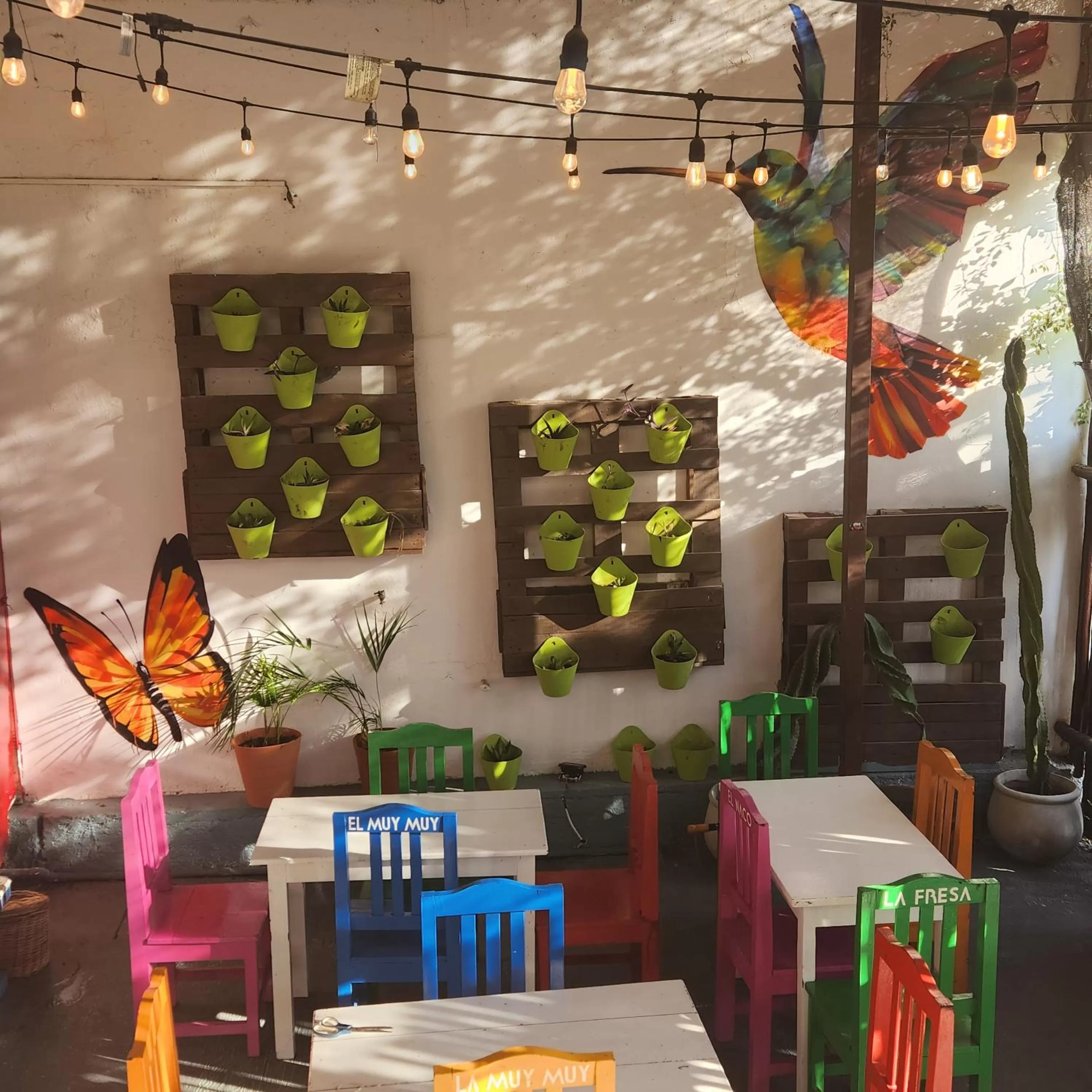 Breakfast, Restaurant/Places to Eat in Casa Frida