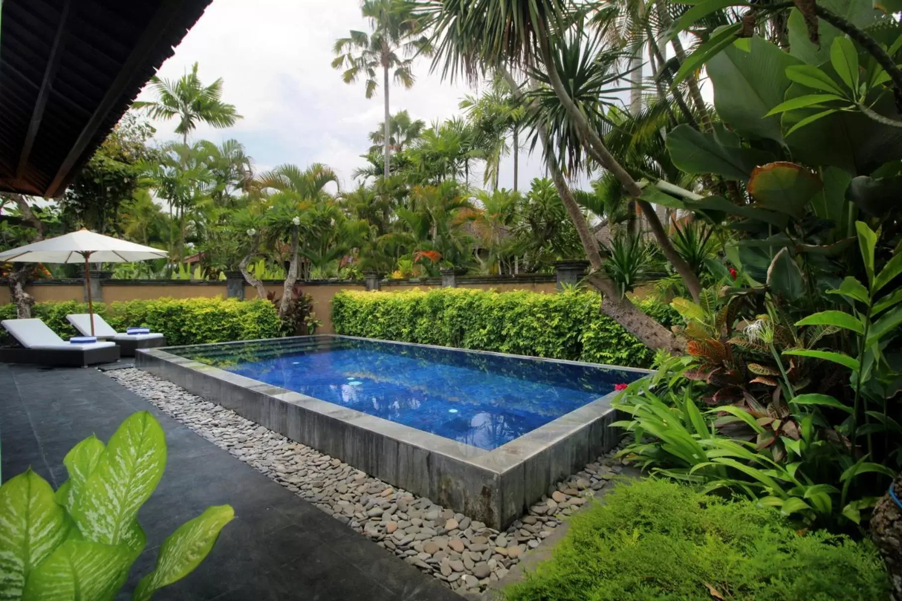 Swimming Pool in Sagara Villas and Suites Sanur