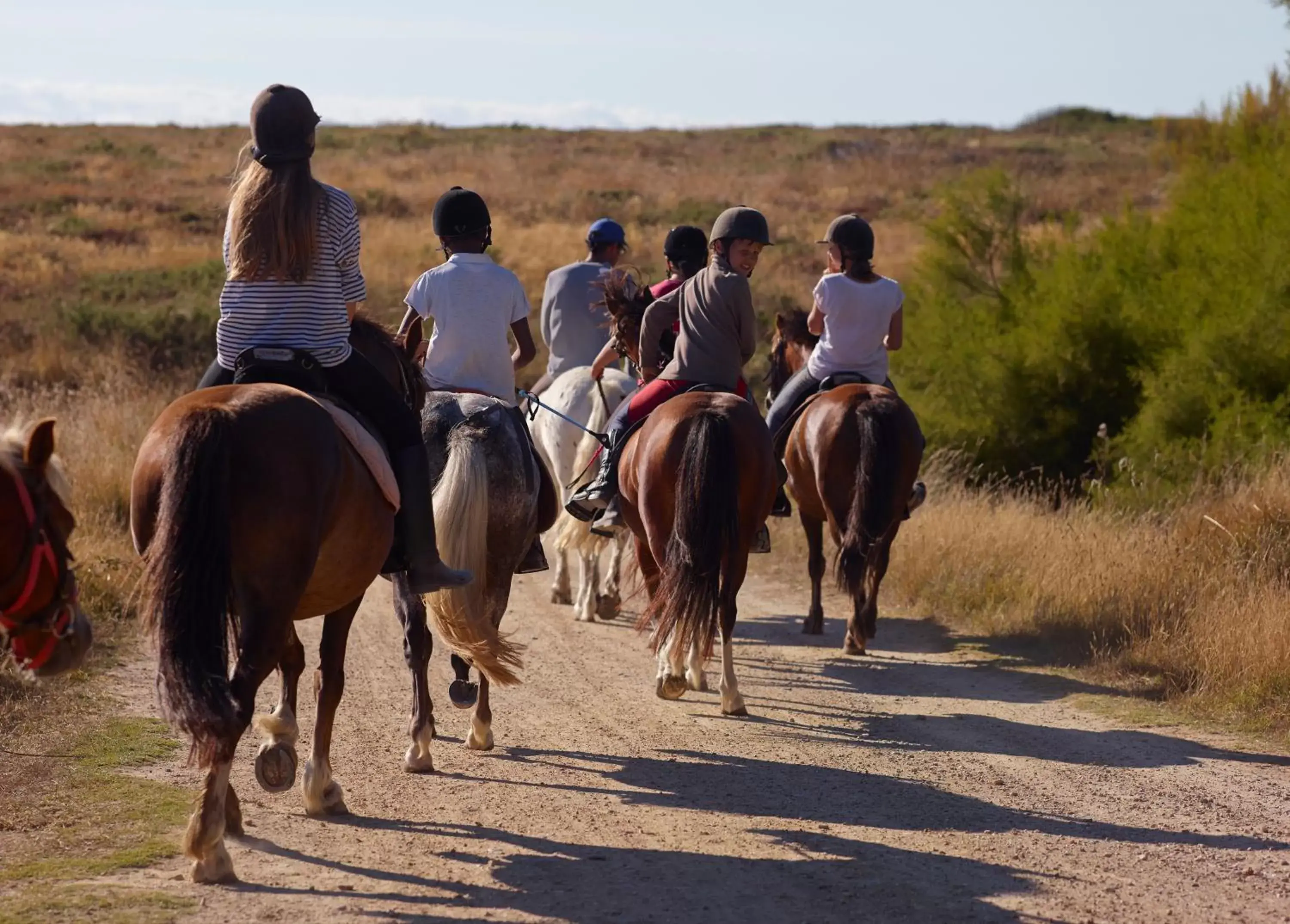 Area and facilities, Horseback Riding in Grand Hôtel de Bretagne