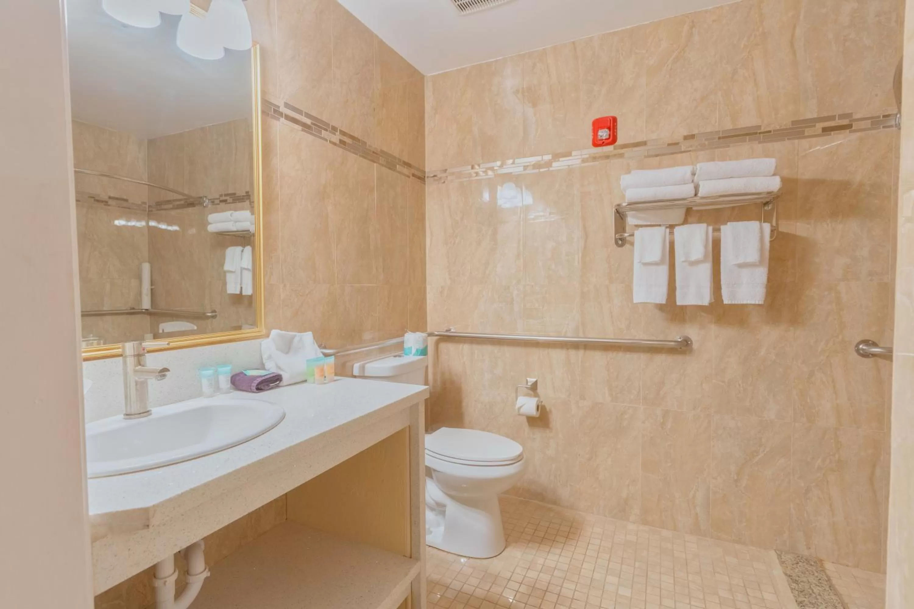 Bathroom in The Monarch Inn