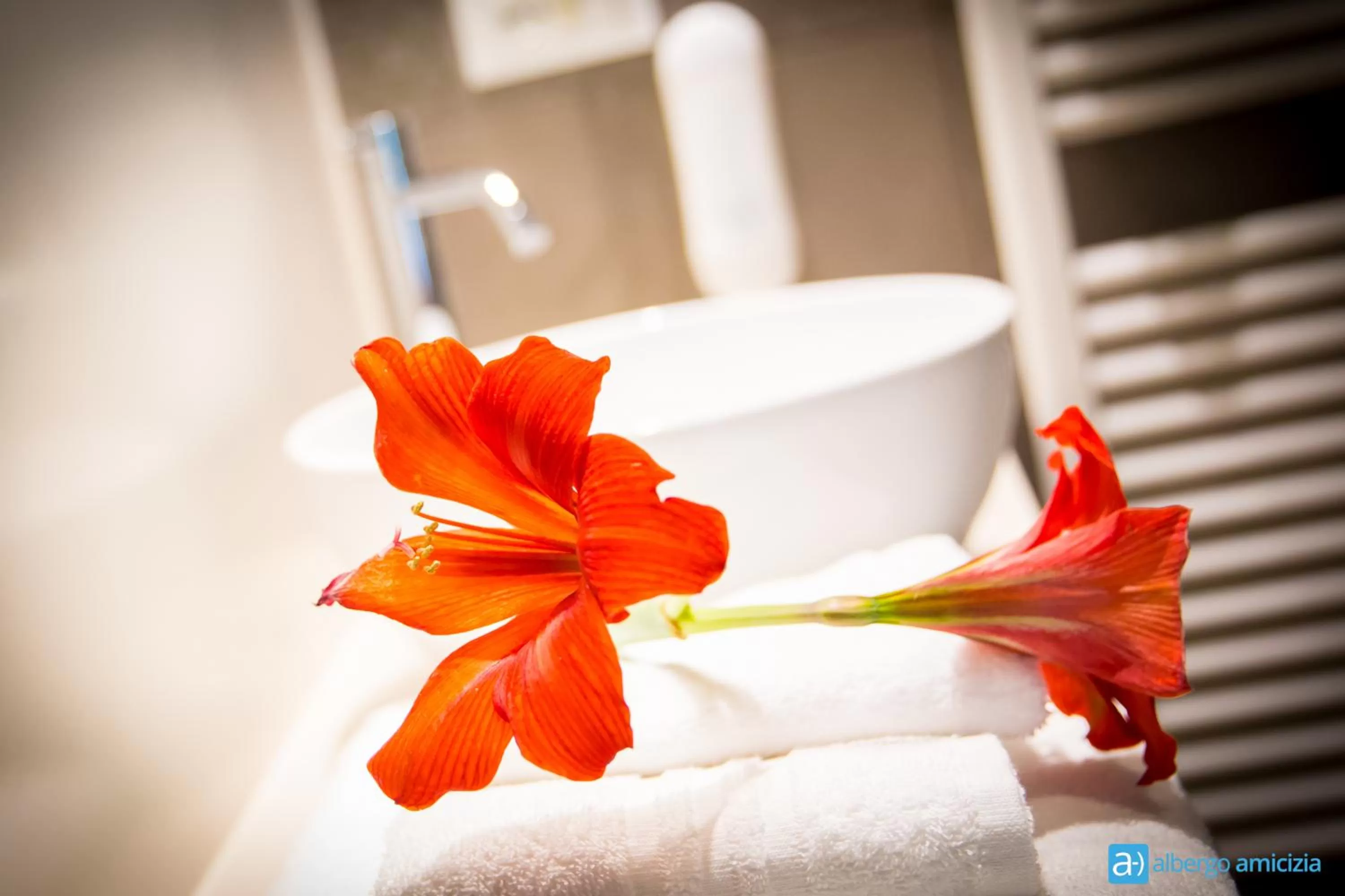 Decorative detail in Hotel Amicizia