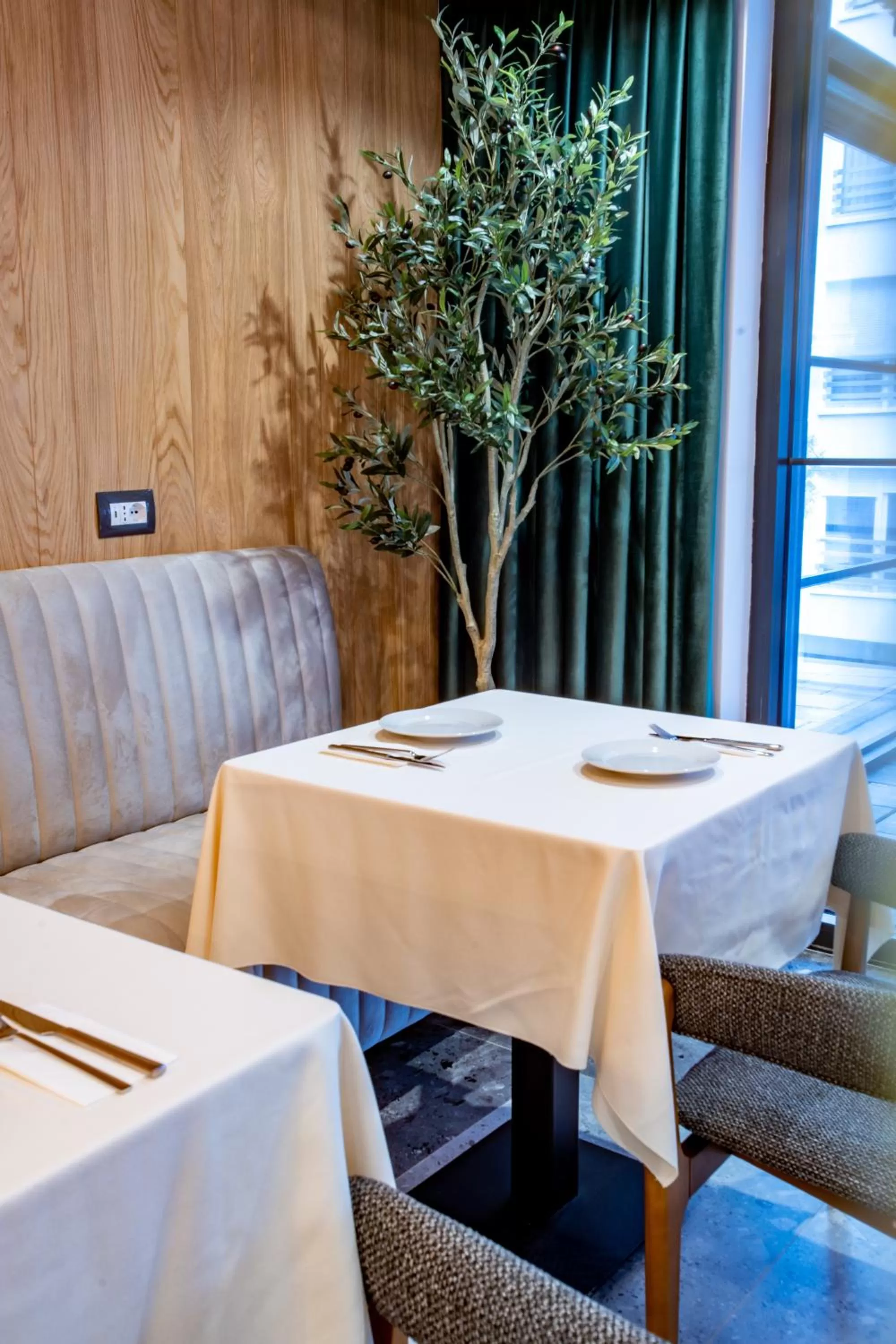 Restaurant/places to eat in Ador Hotel