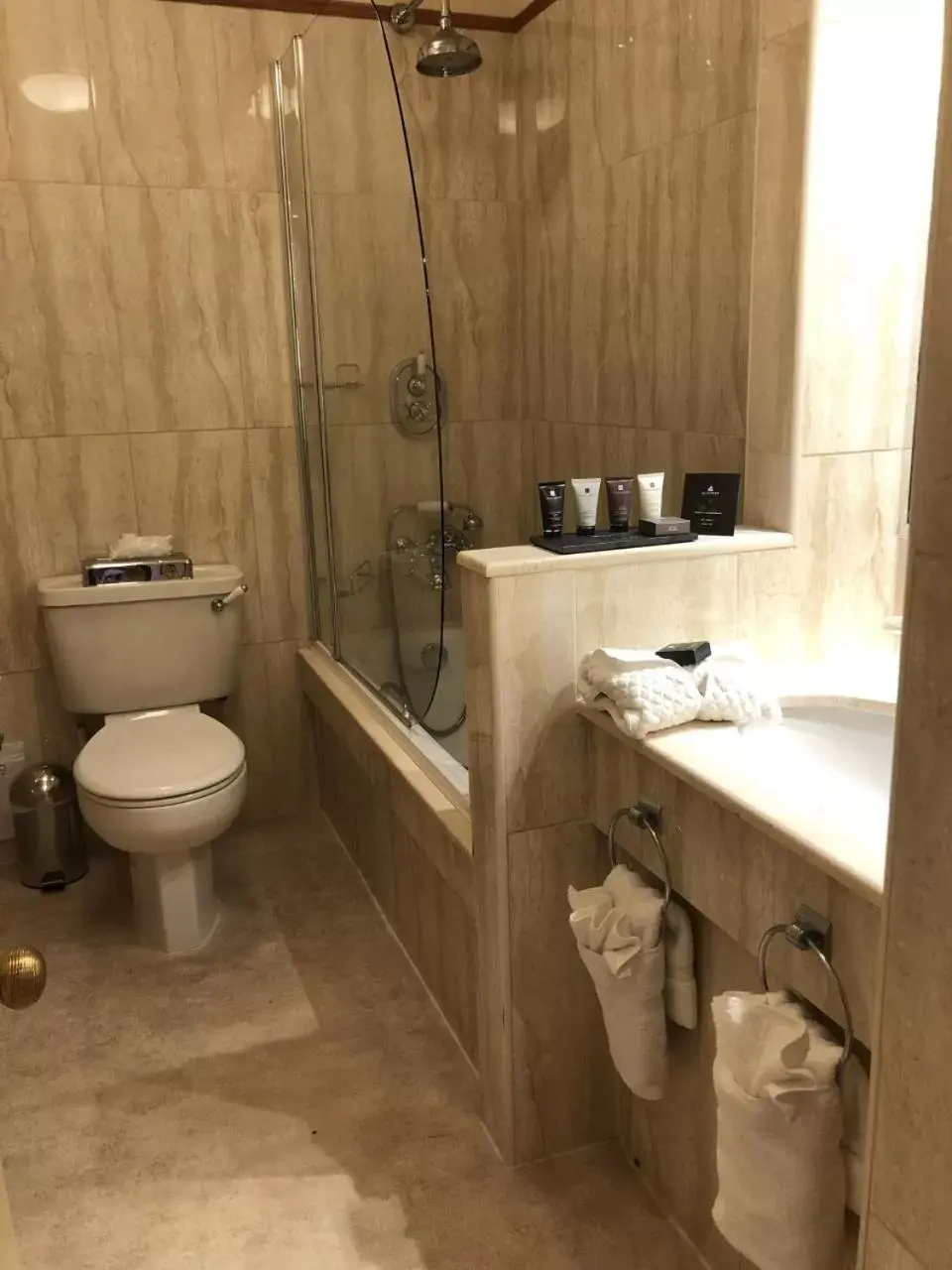 Toilet, Bathroom in Horsted Place Hotel