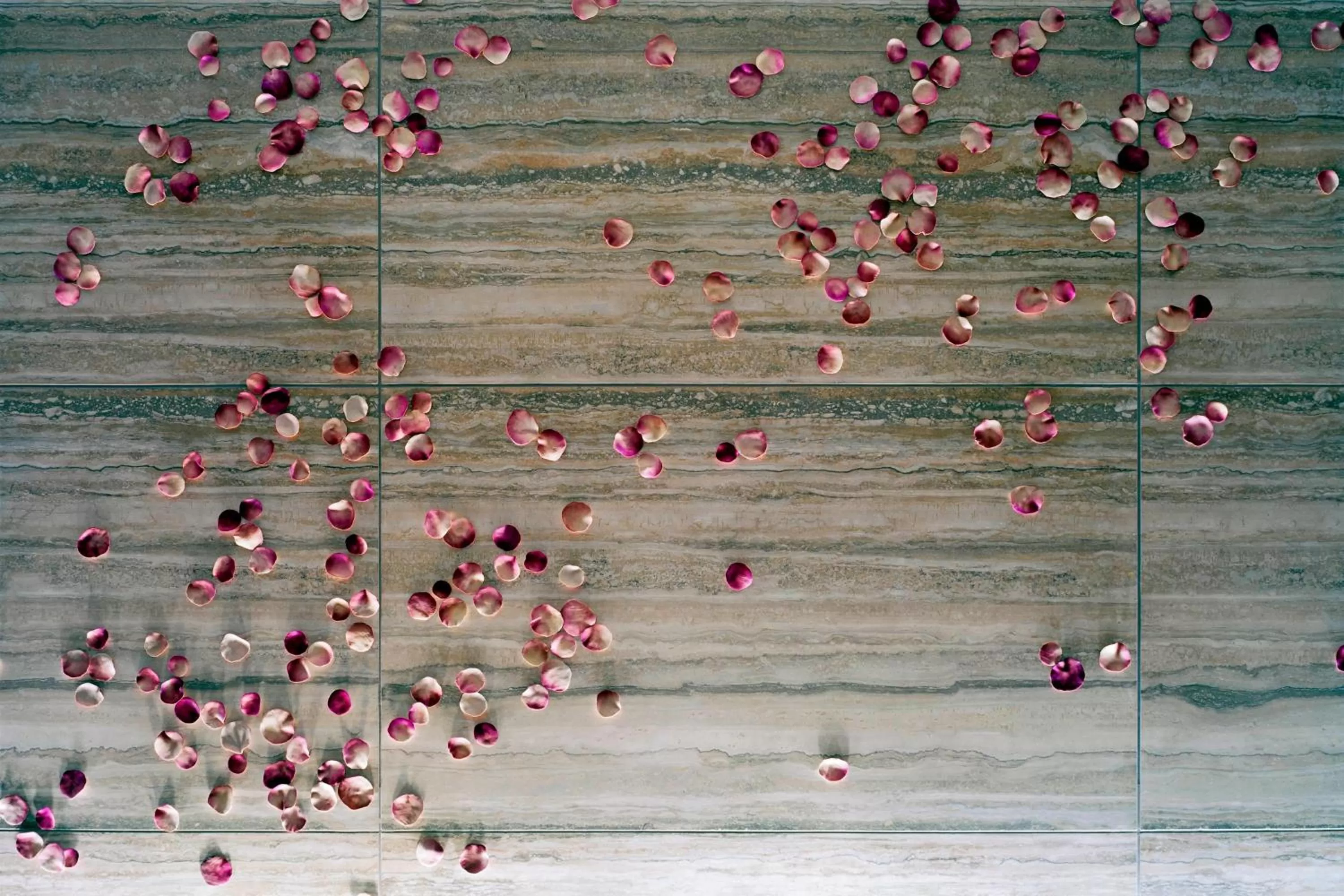 Other in The St. Regis San Francisco