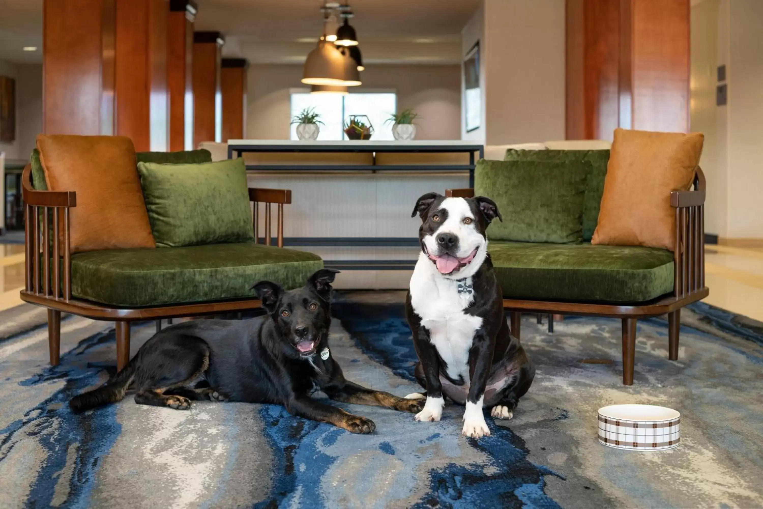 Other, Pets in Fairfield Inn & Suites Redding