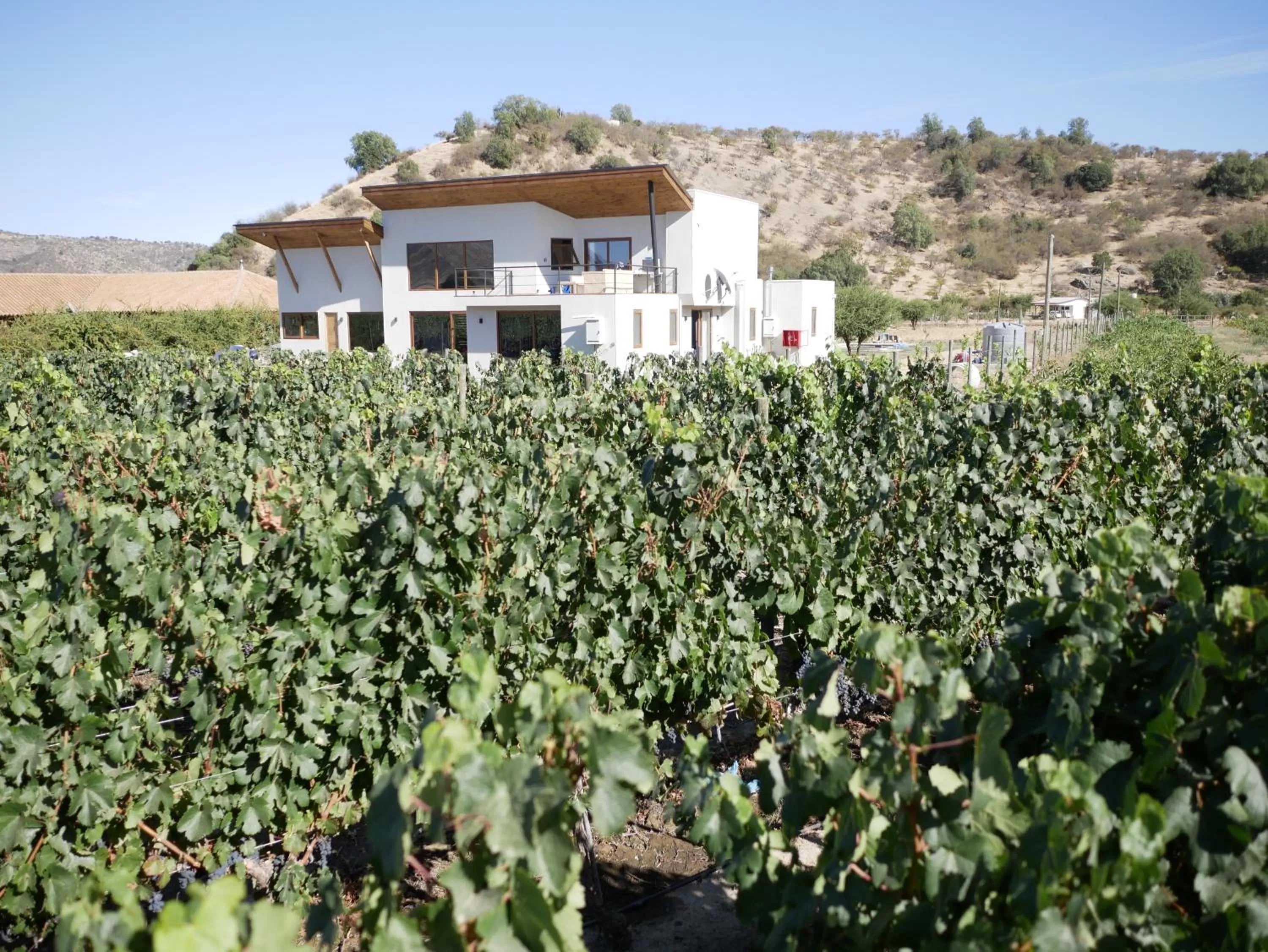 Property building in Callihue Lodge