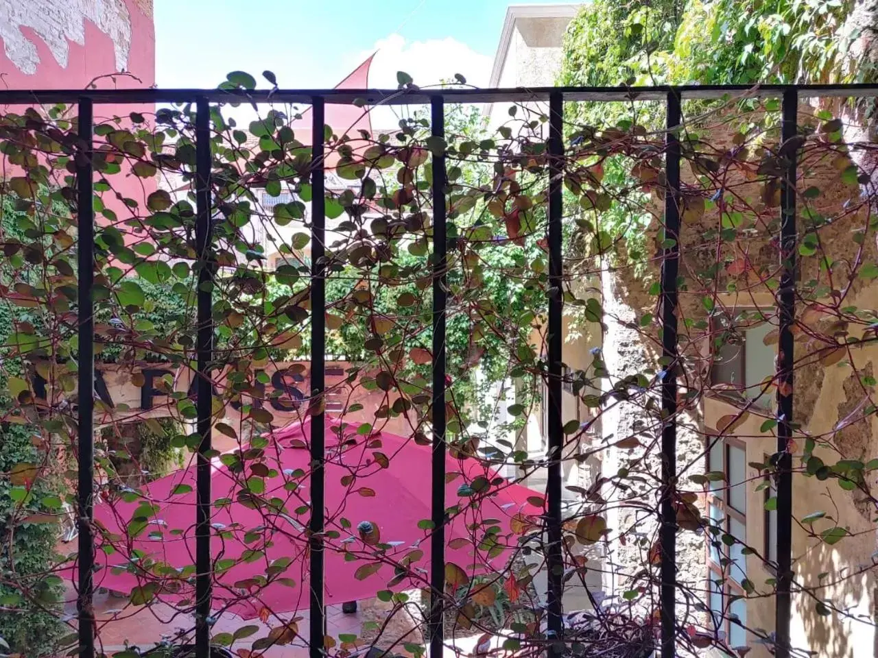 Garden view in Hotel el Descanso Barrio del Artista