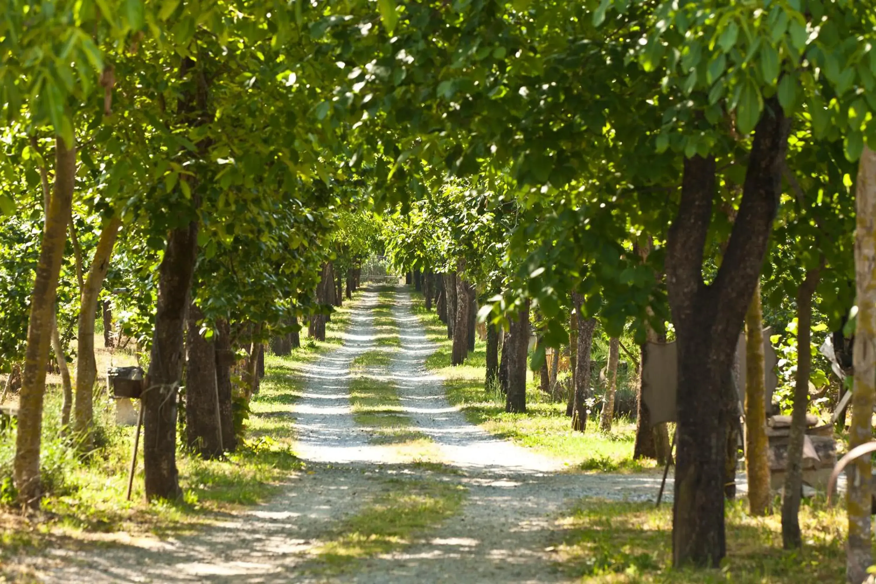 Spring, Garden in Hotel Villa Rizzo Resort and Spa