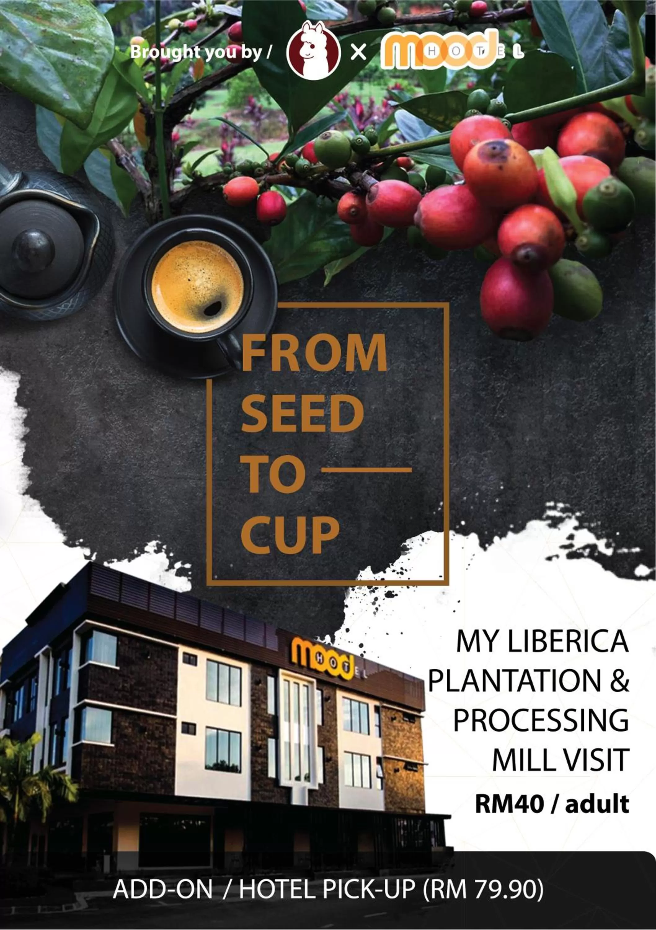 Activities in Mood Hotel