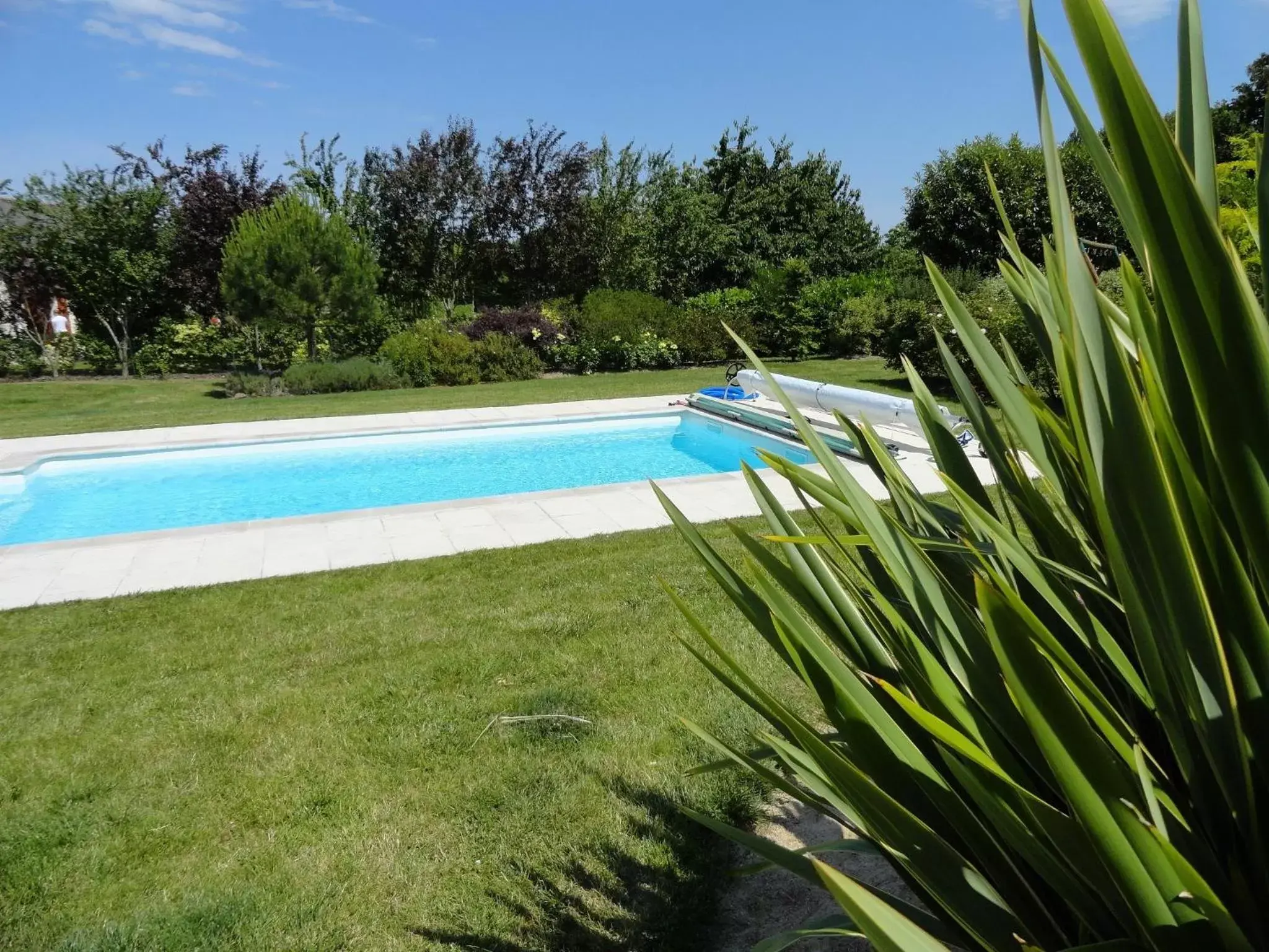 Garden view, Swimming Pool in l'Améthyste