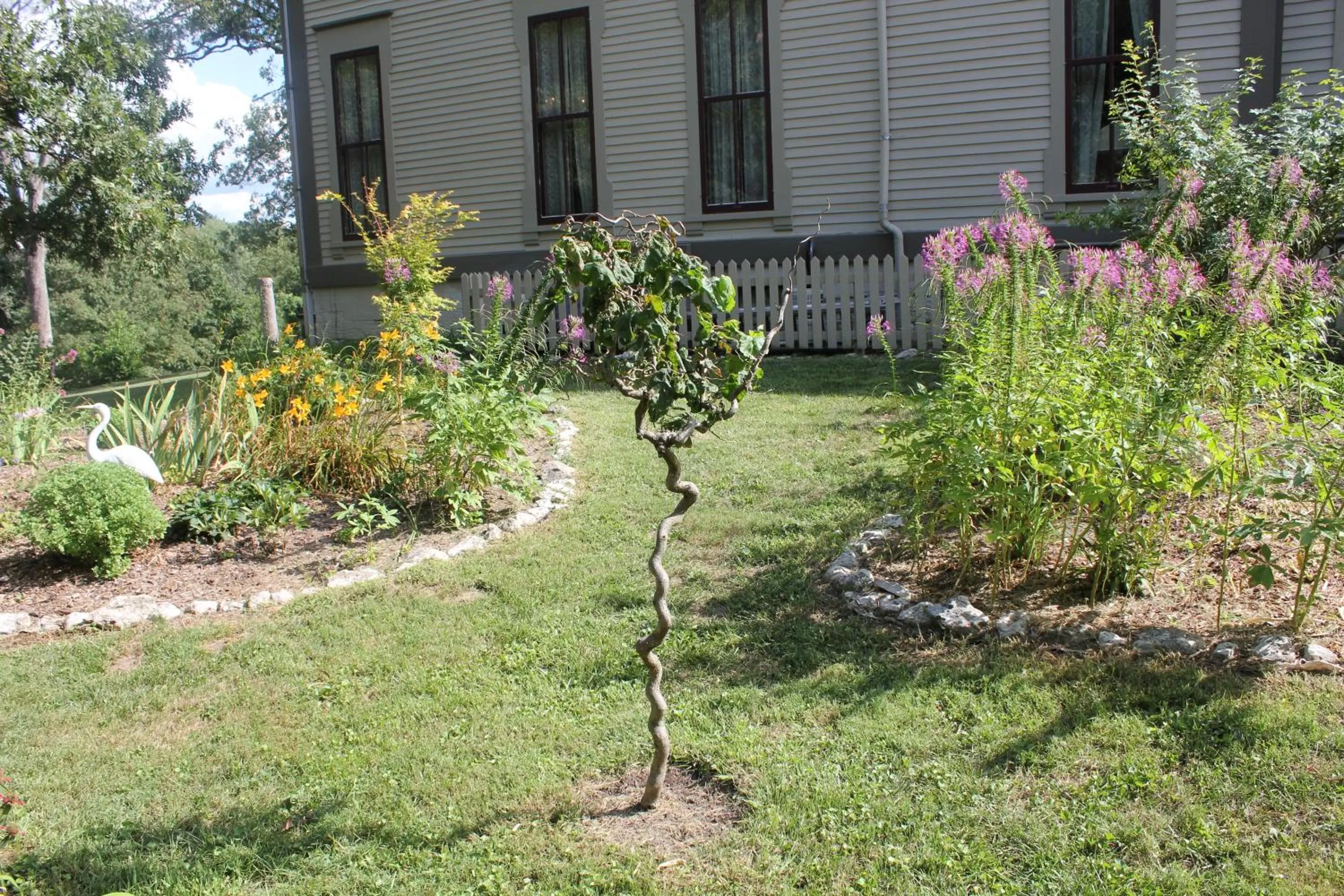 Property Building in Garth Woodside Mansion Bed and Breakfast