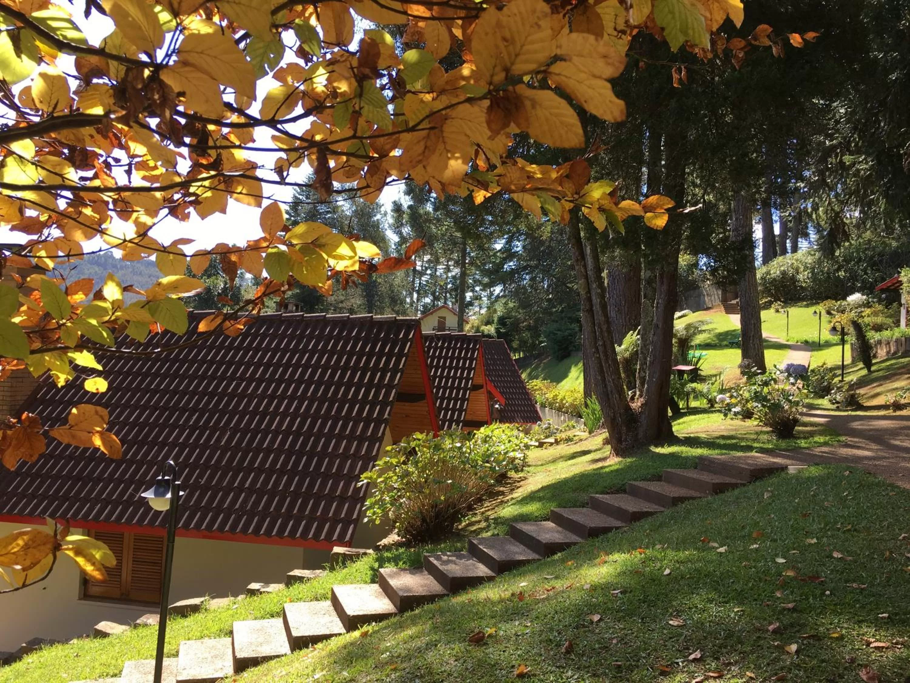Garden view in Pousada Aguia da Montanha