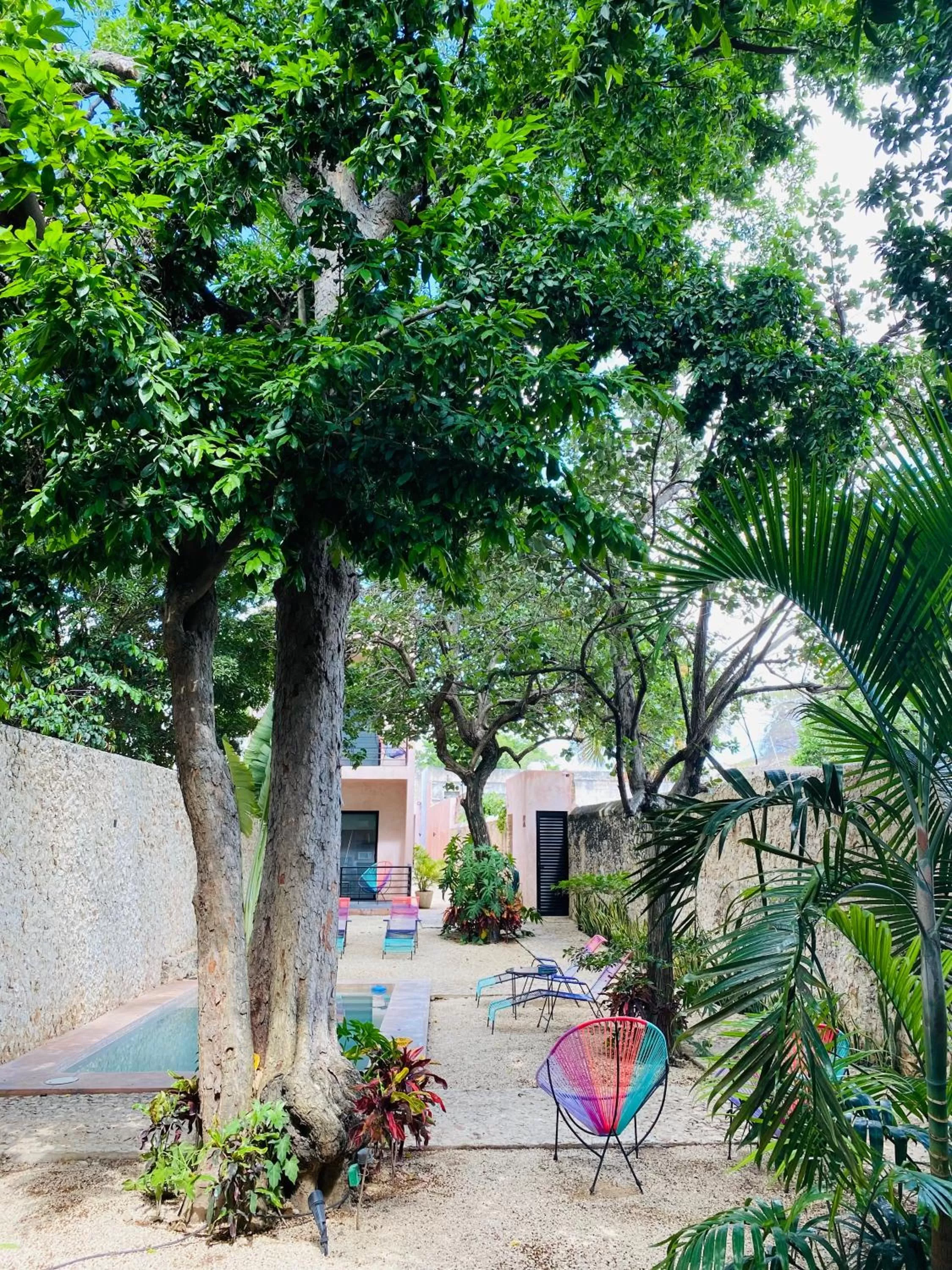 Day in Hotelito YUM KAAX