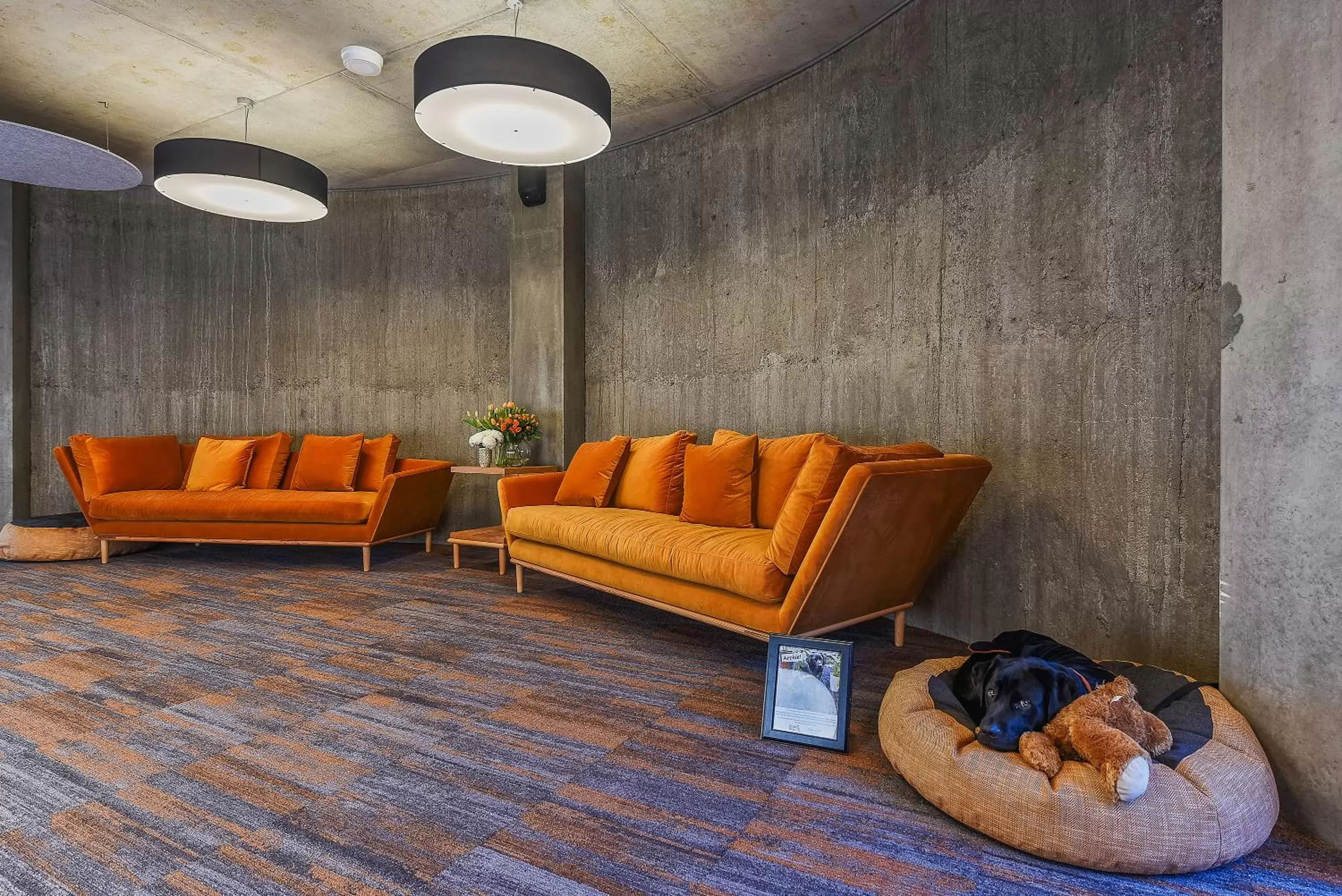 Lobby or reception, Seating Area in Peppers Silo