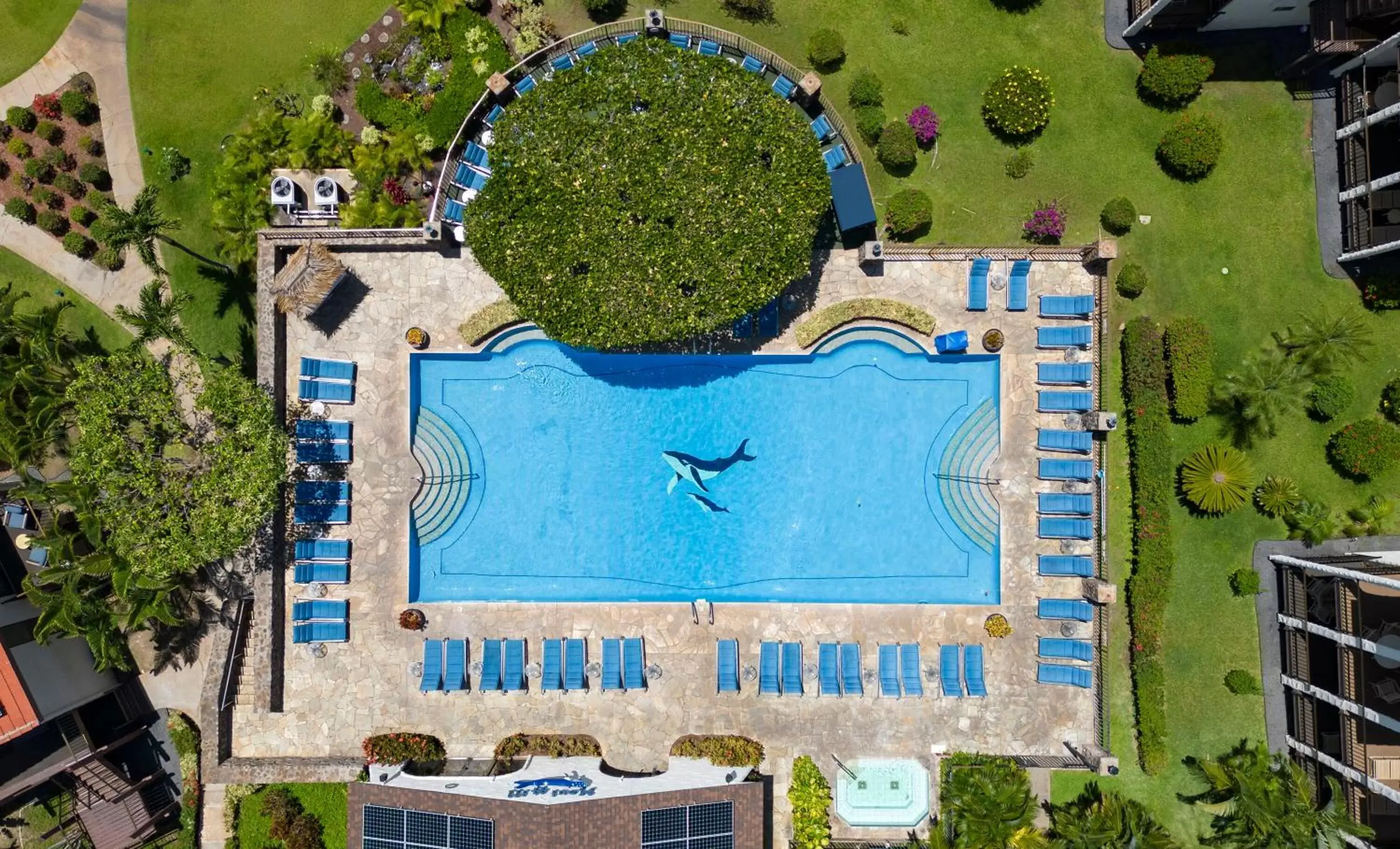 Swimming pool, Pool View in Aston Maui Hill