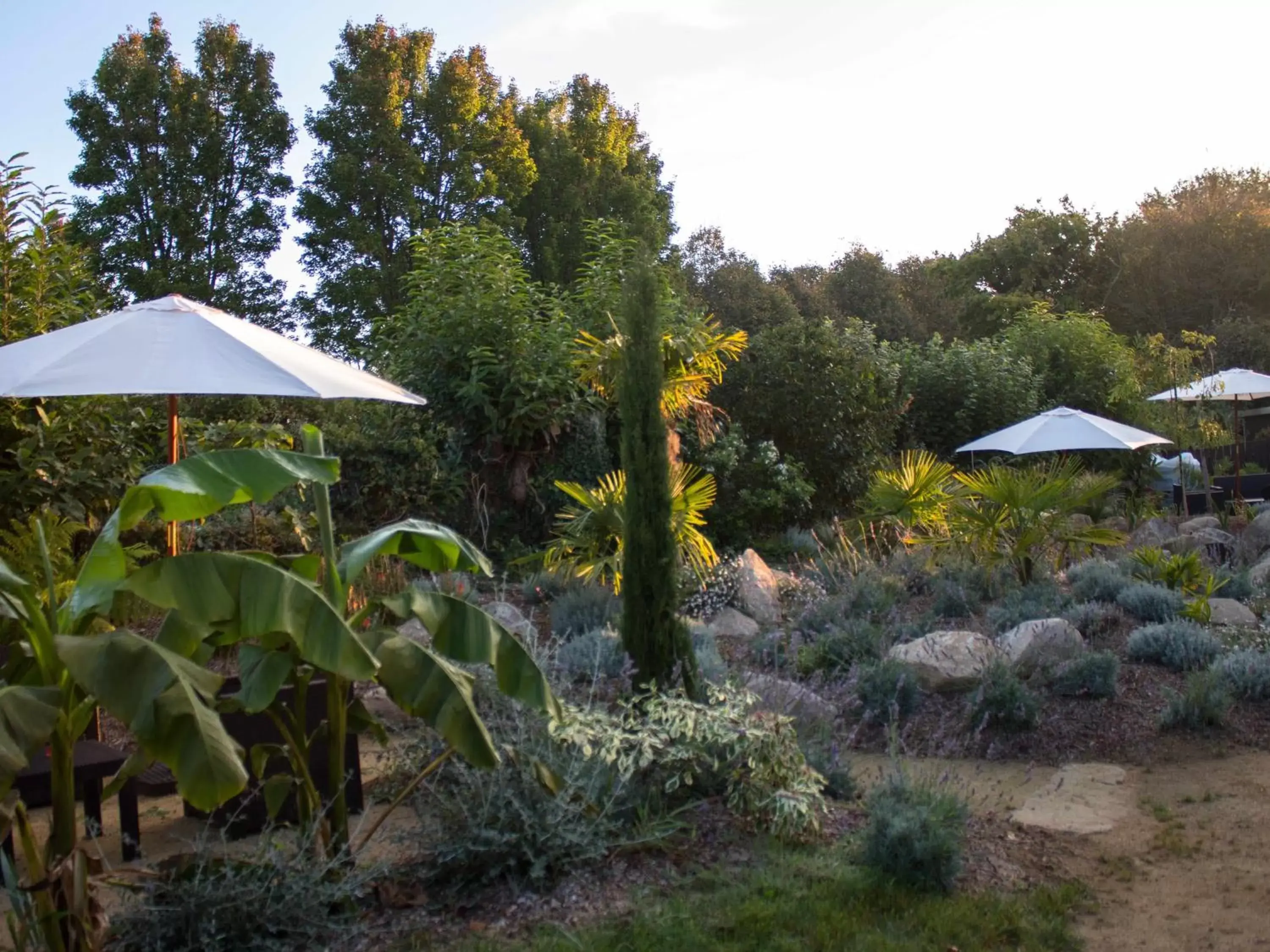 Property building, Garden in La Dolce Vita