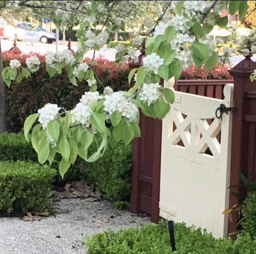 Howlong Old Post Office Luxury Suite