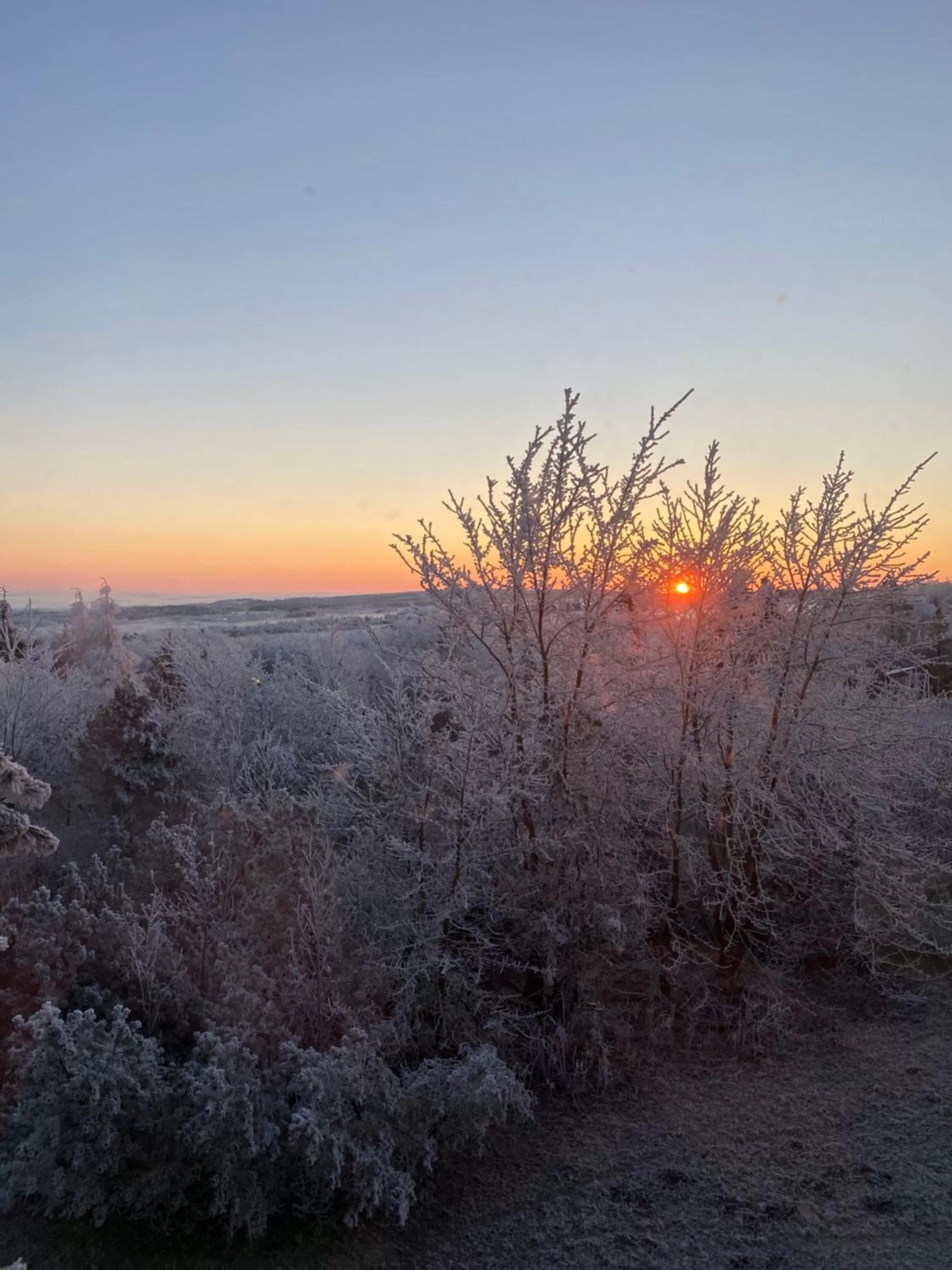 Property building in Hotel Lugsteinhof