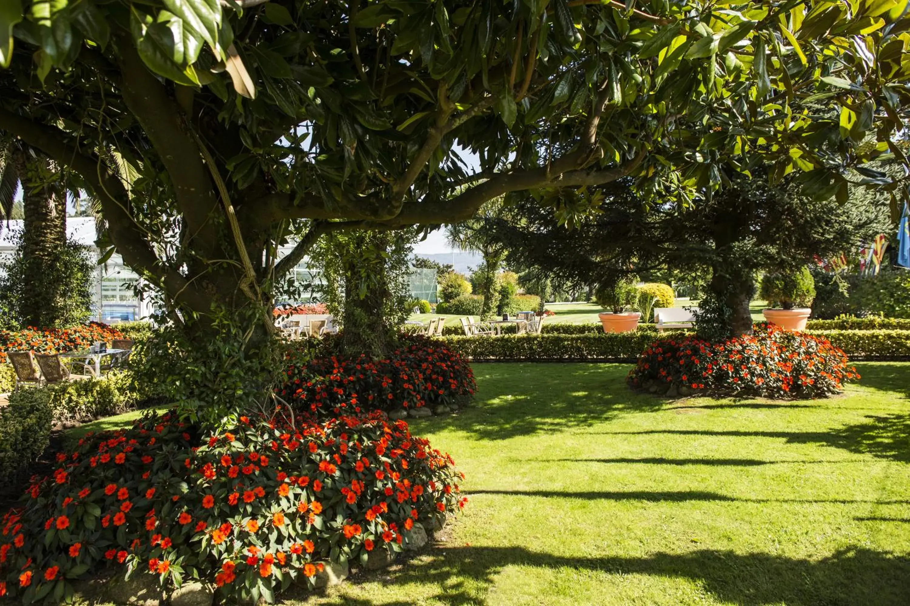 Garden in Nuevo Astur Spa