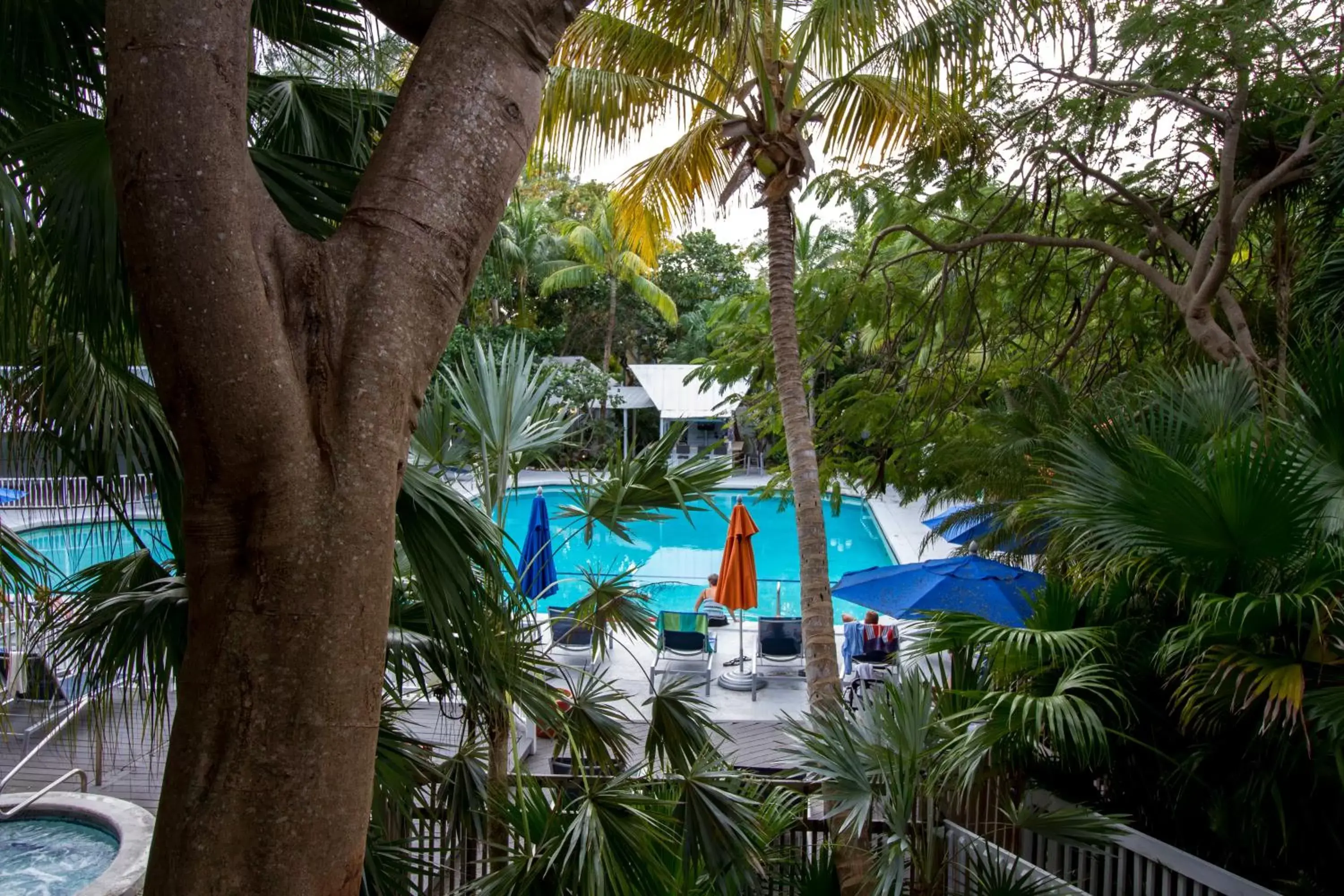 Swimming pool, Pool View in Banana Bay Resort & Marina