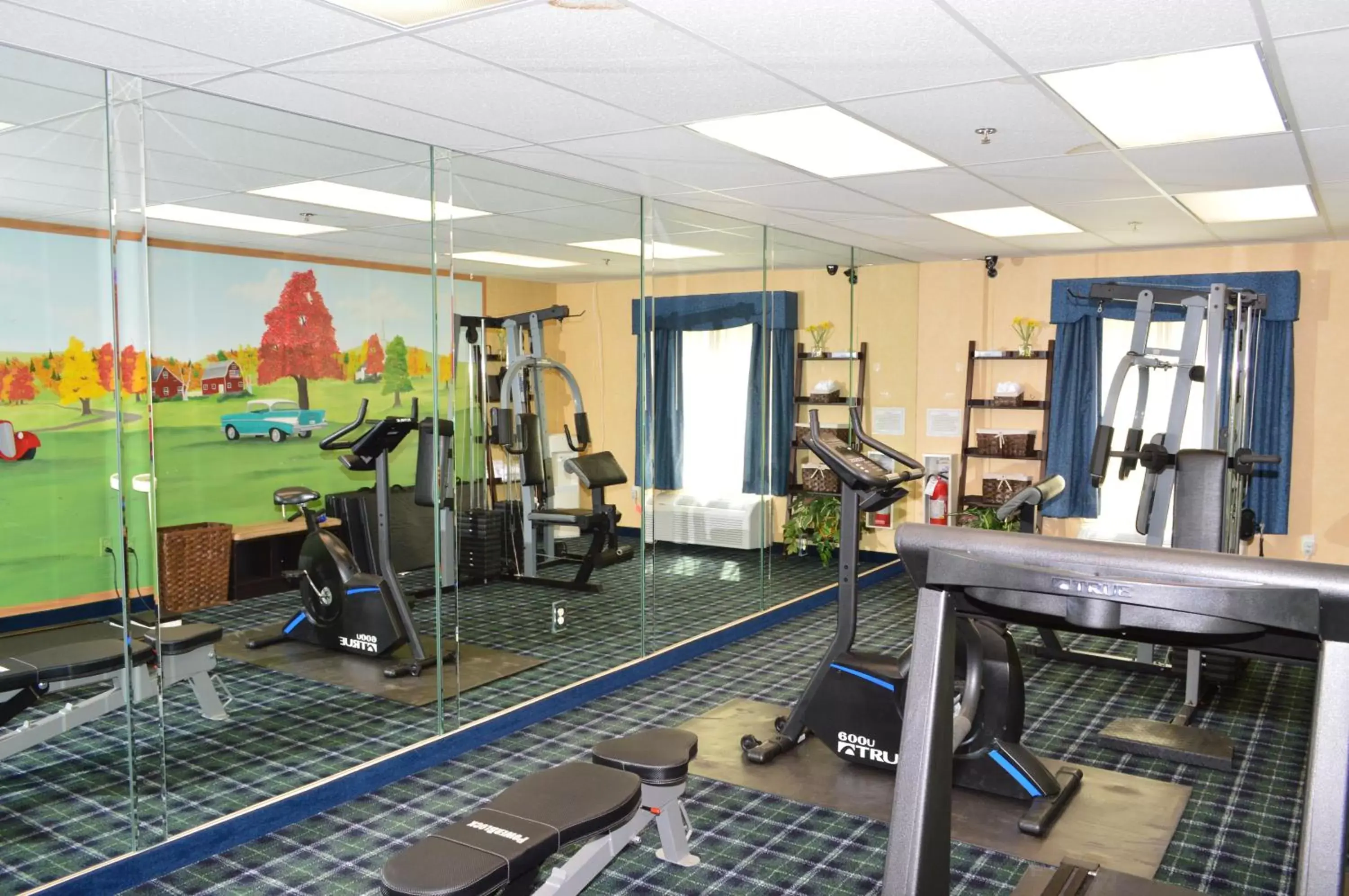 Fitness Center/Facilities in Manchester Inn & Suites