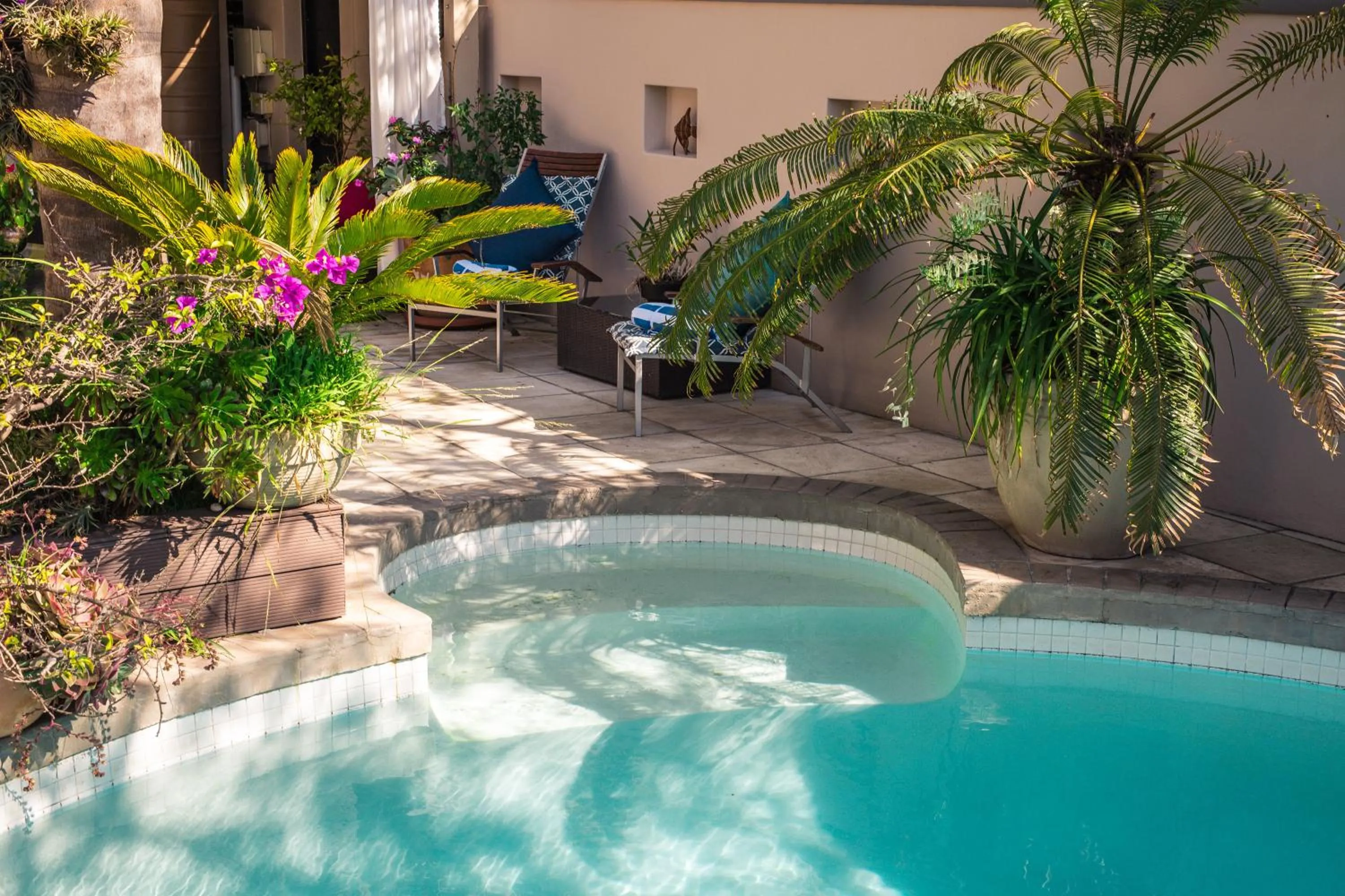 Pool view in Point B Guest House -Sustainable Solar Energy