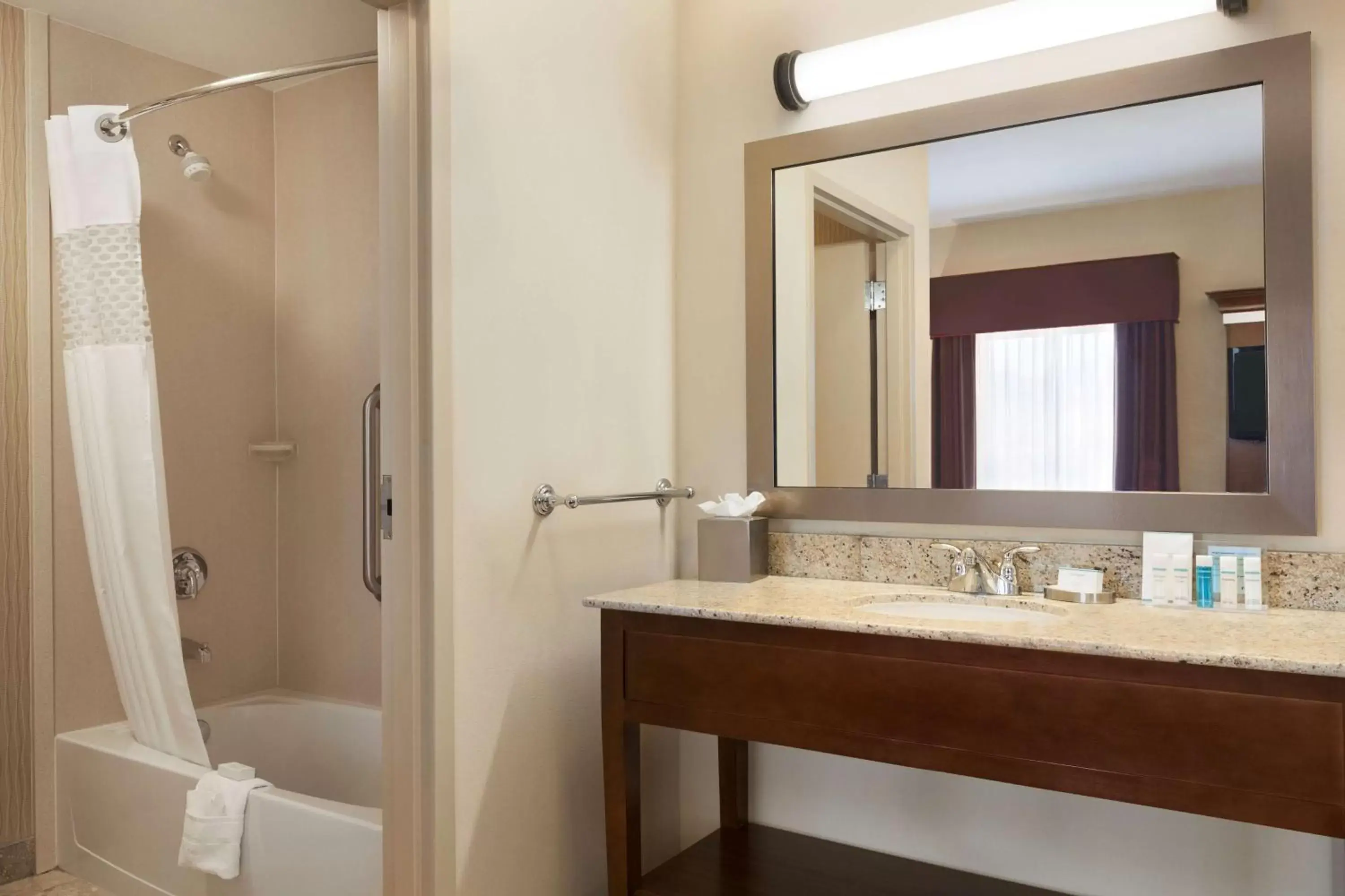 Bathroom in Hampton Inn & Suites Williston