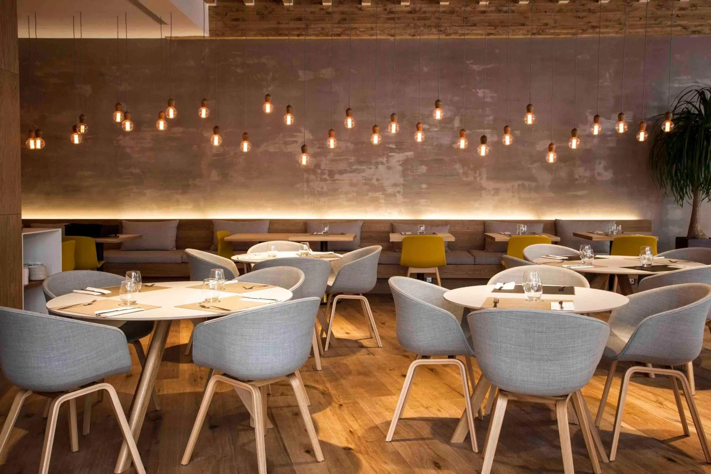 Restaurant/places to eat in Zenit San Sebastián