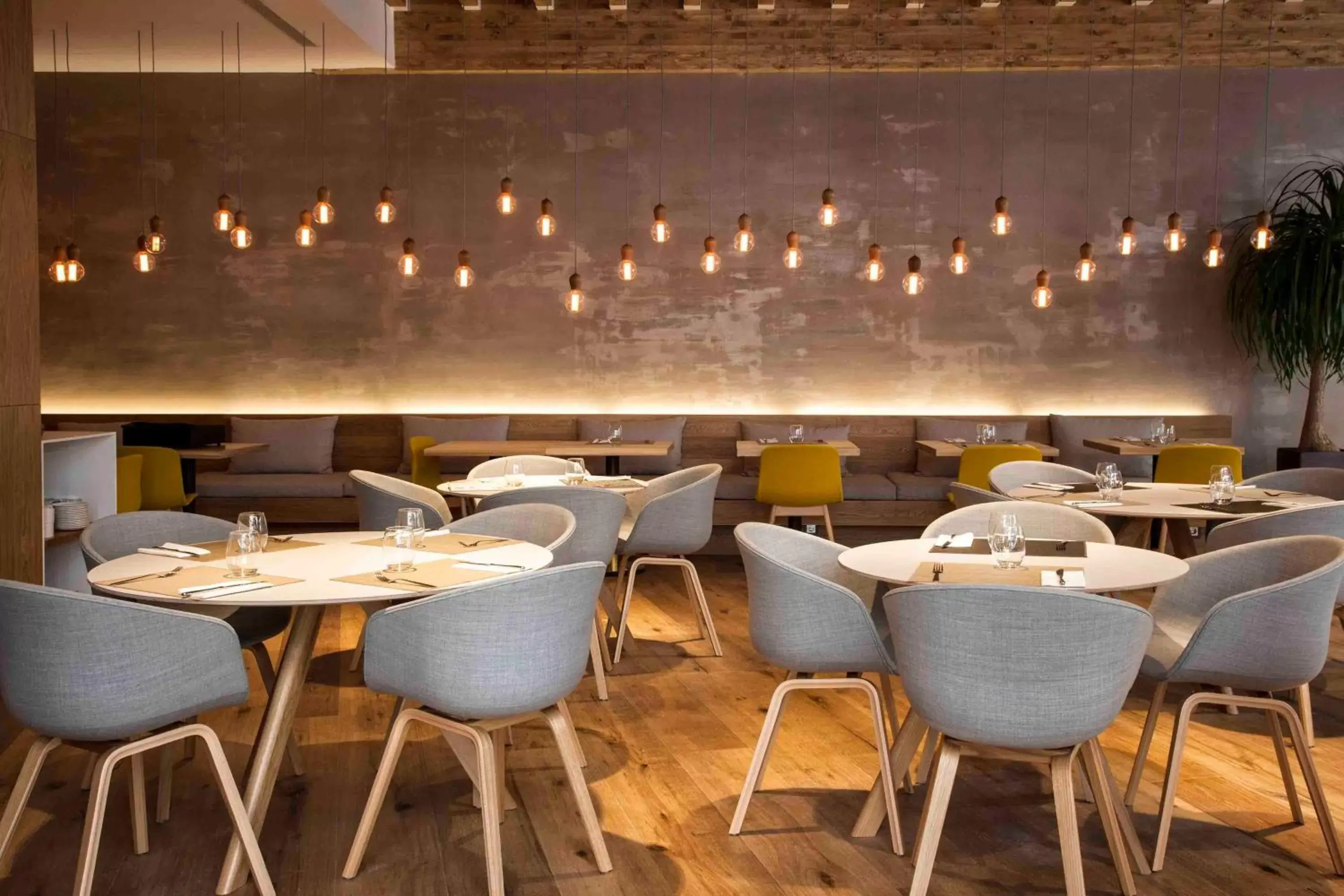 Restaurant/places to eat in Zenit San Sebastián Restaurant/places to eat in Zenit San Sebastián