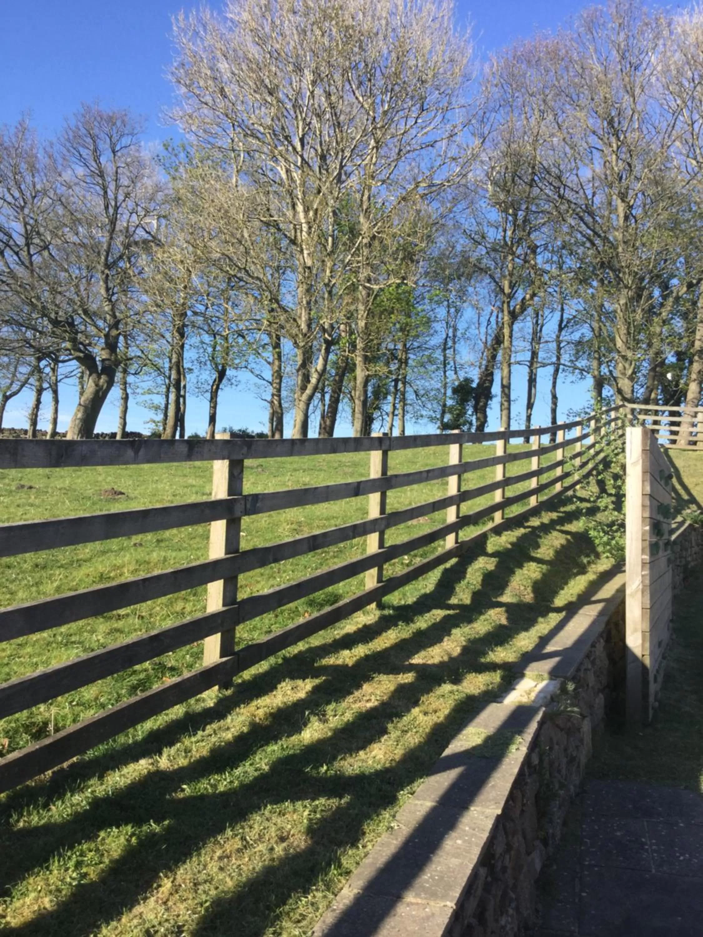 Garden view in The Craven Arms
