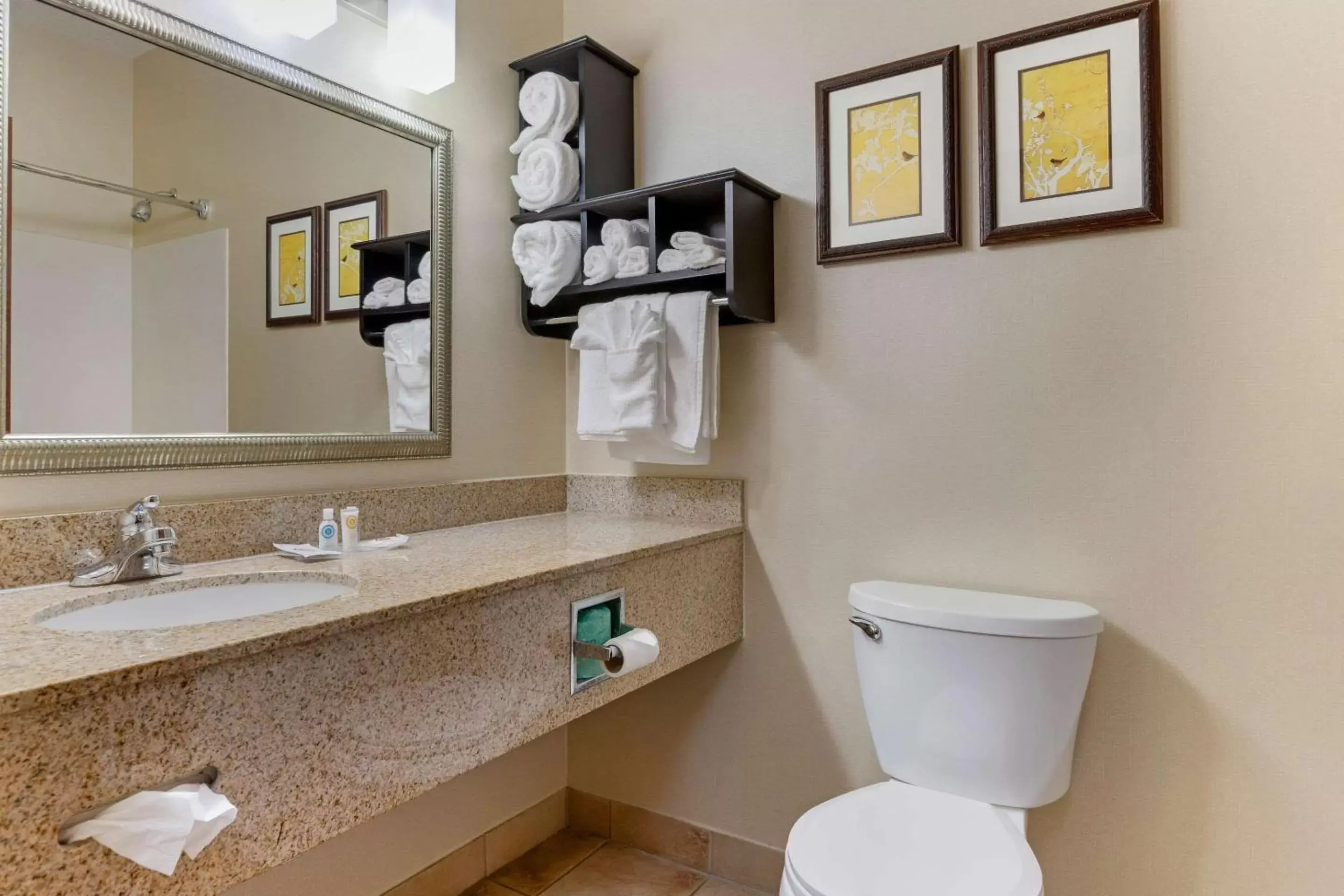 Bathroom in Comfort Suites Southfield