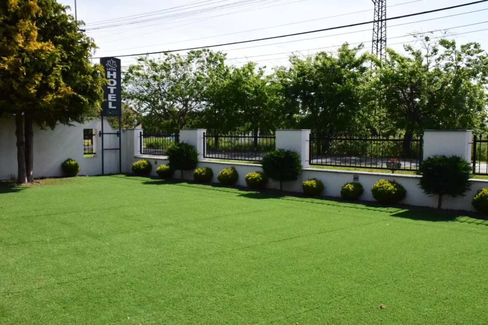 Natural landscape in Hotel Lotus