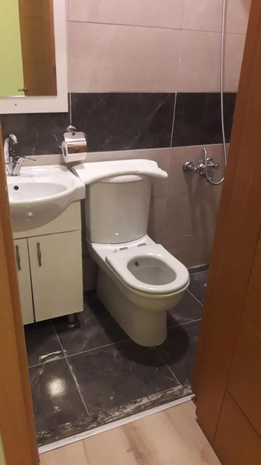 Toilet, Bathroom in historial hotel