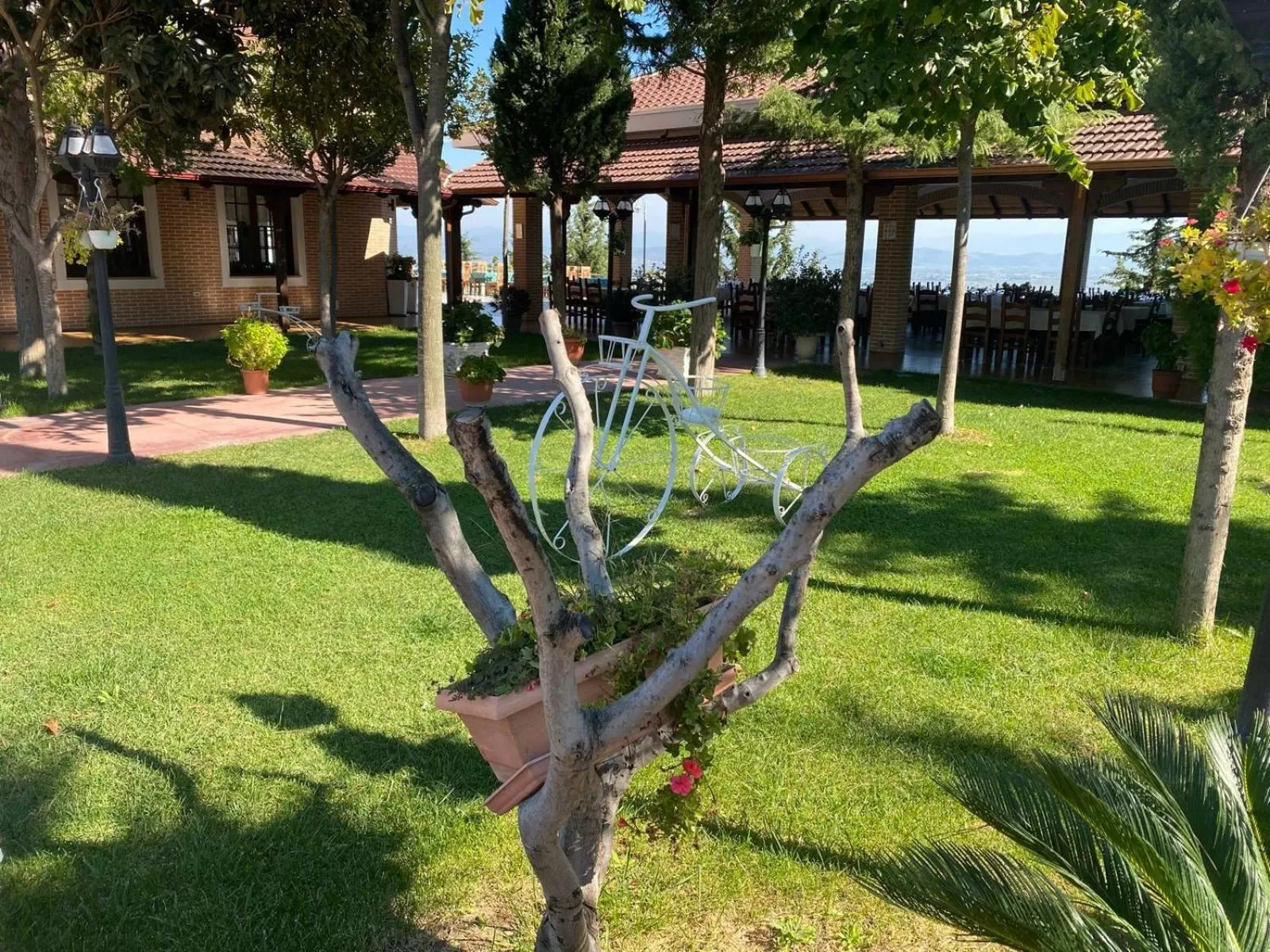 View (from property/room) in Ardenica Boutique Hotel