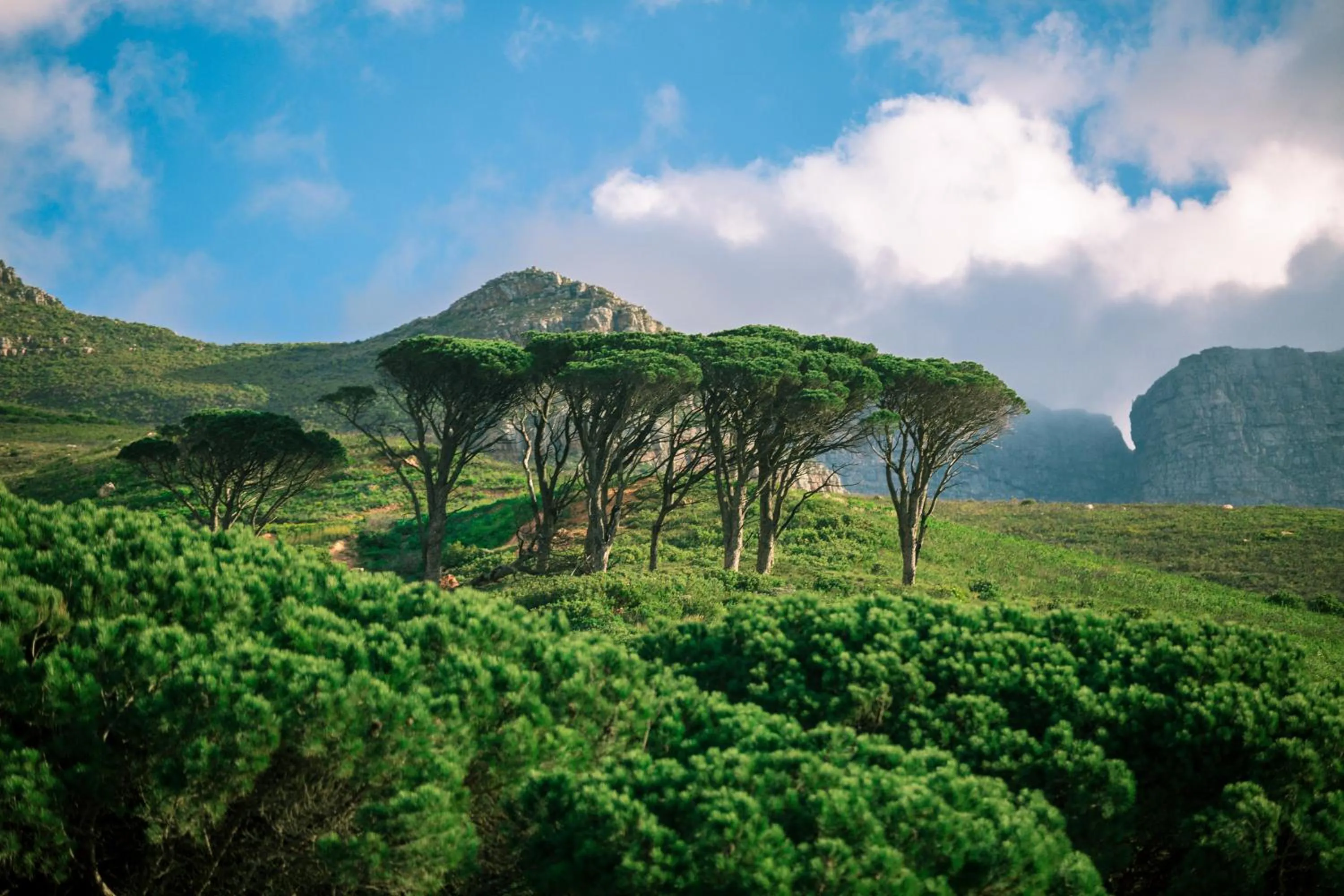 Nearby landmark in Point B Guest House -Sustainable Solar Energy