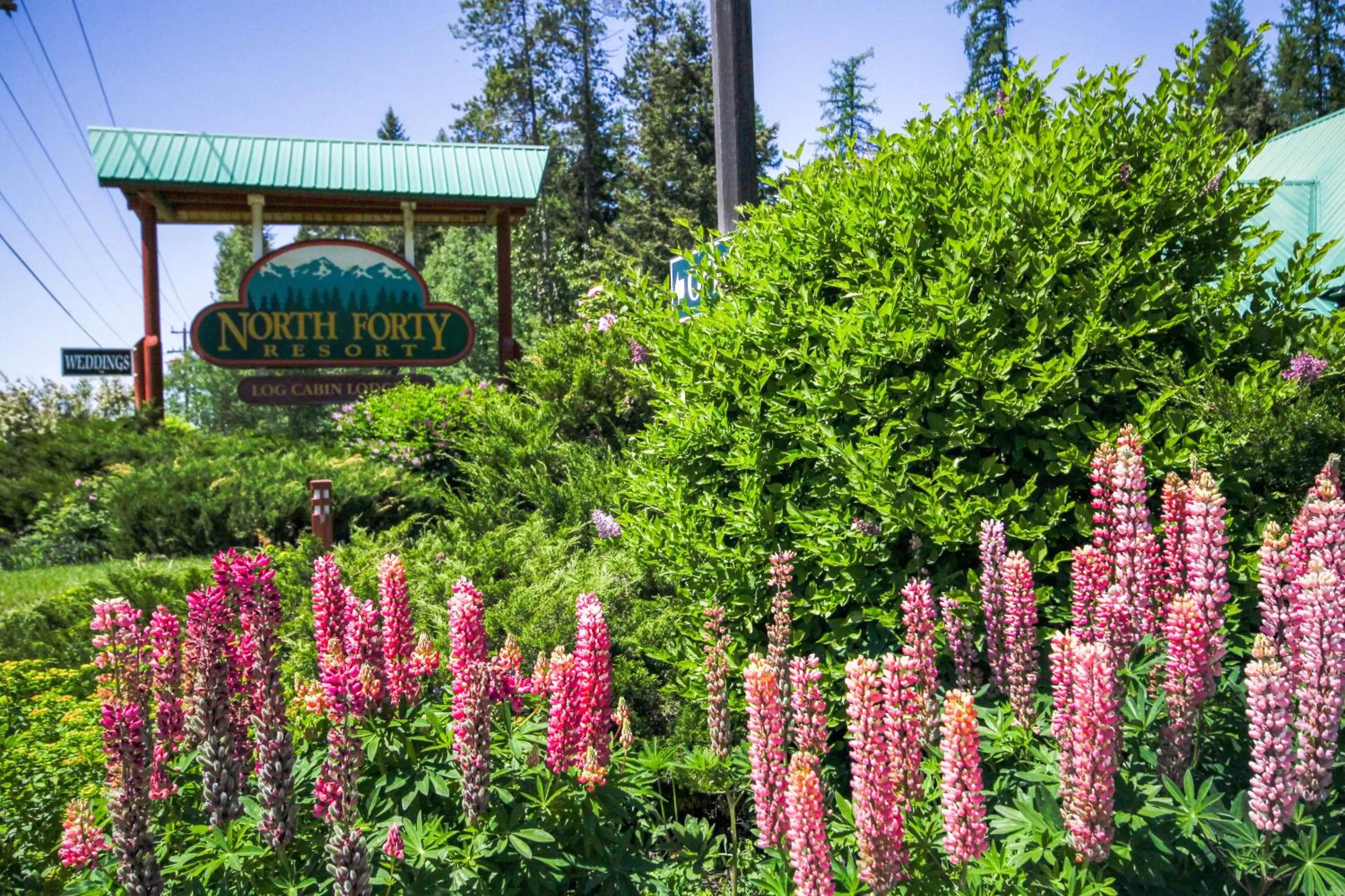 Property logo or sign in North Forty Resort