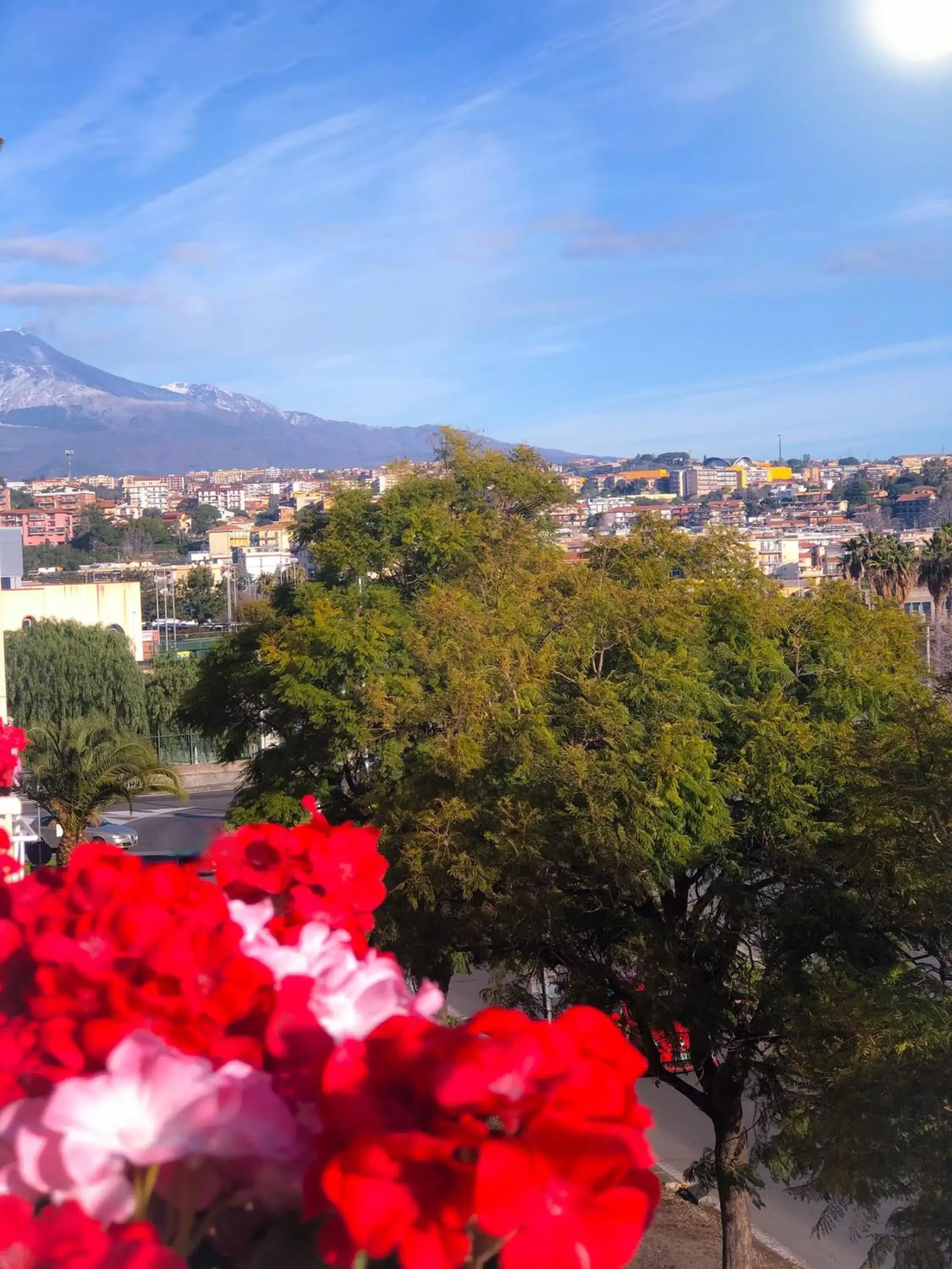 Natural landscape in B&B Policlinico Gaspare Rodolico