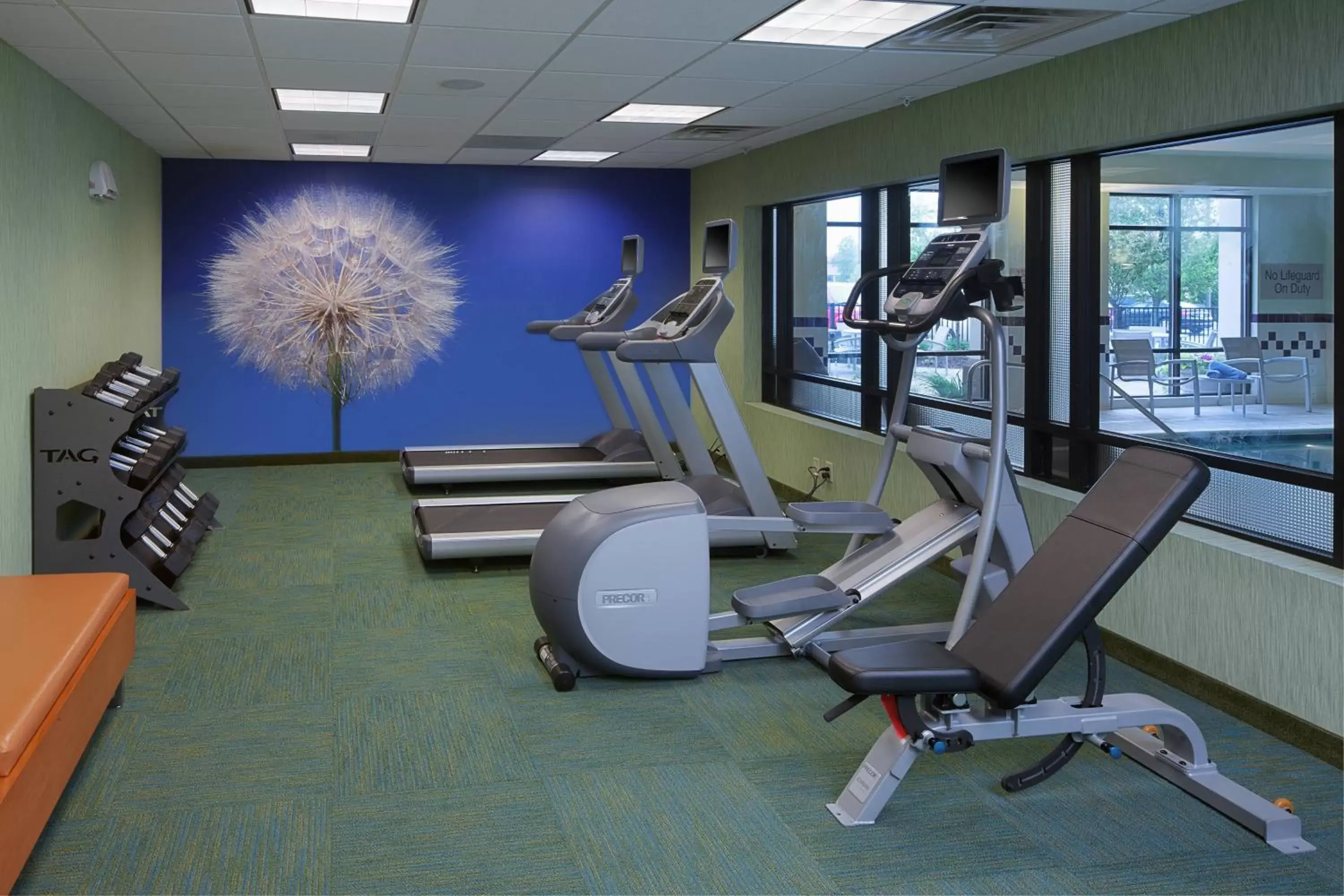 Fitness centre/facilities, Fitness Center/Facilities in SpringHill Suites by Marriott Lansing West
