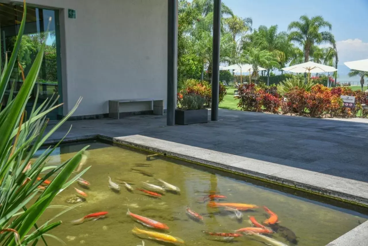 Lobby or reception, Swimming Pool in La Reserva Chapala