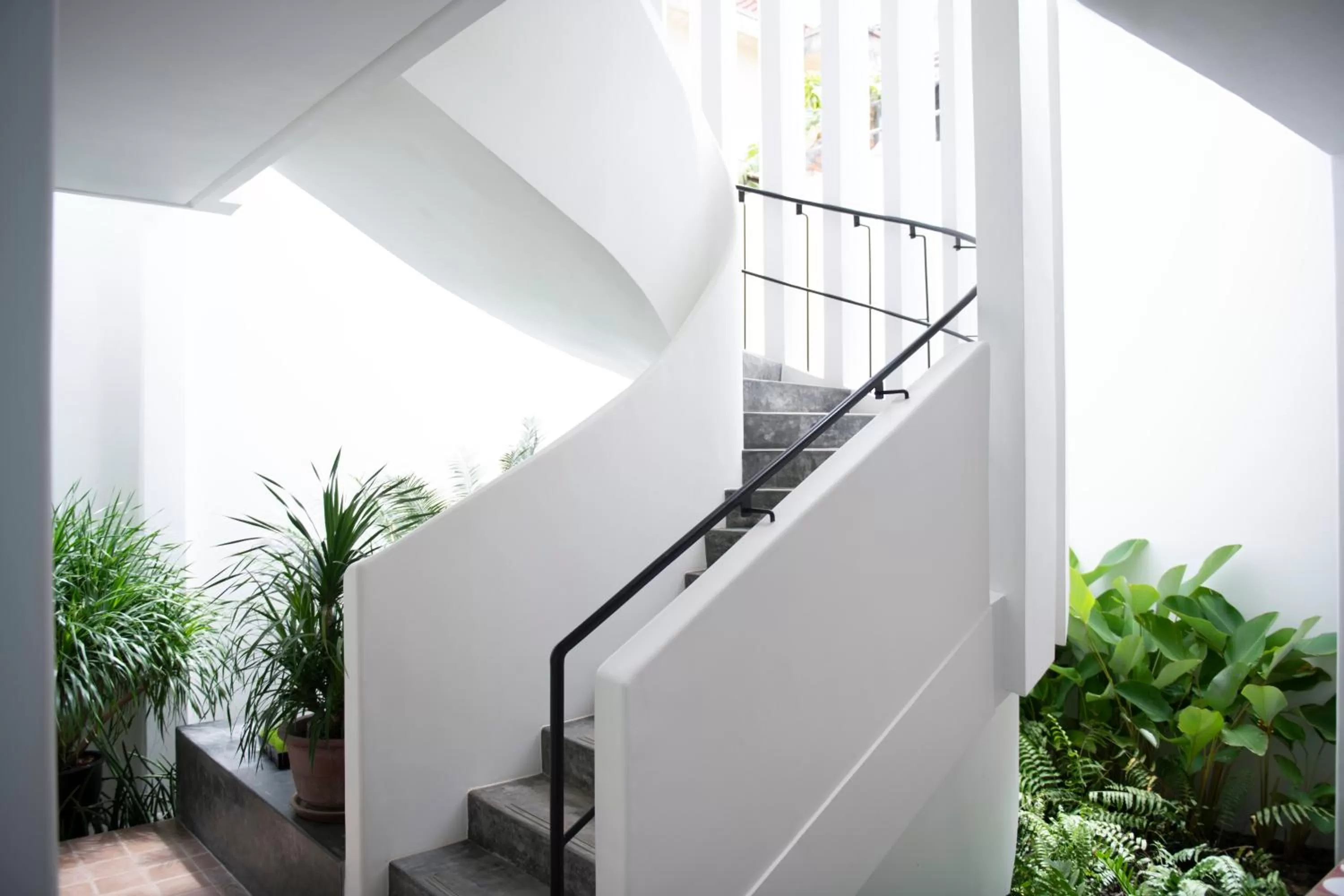 Area and facilities in Viroth's Villa