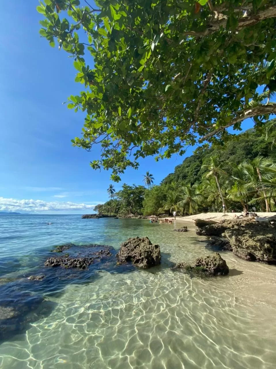 Los Robles Capurgana