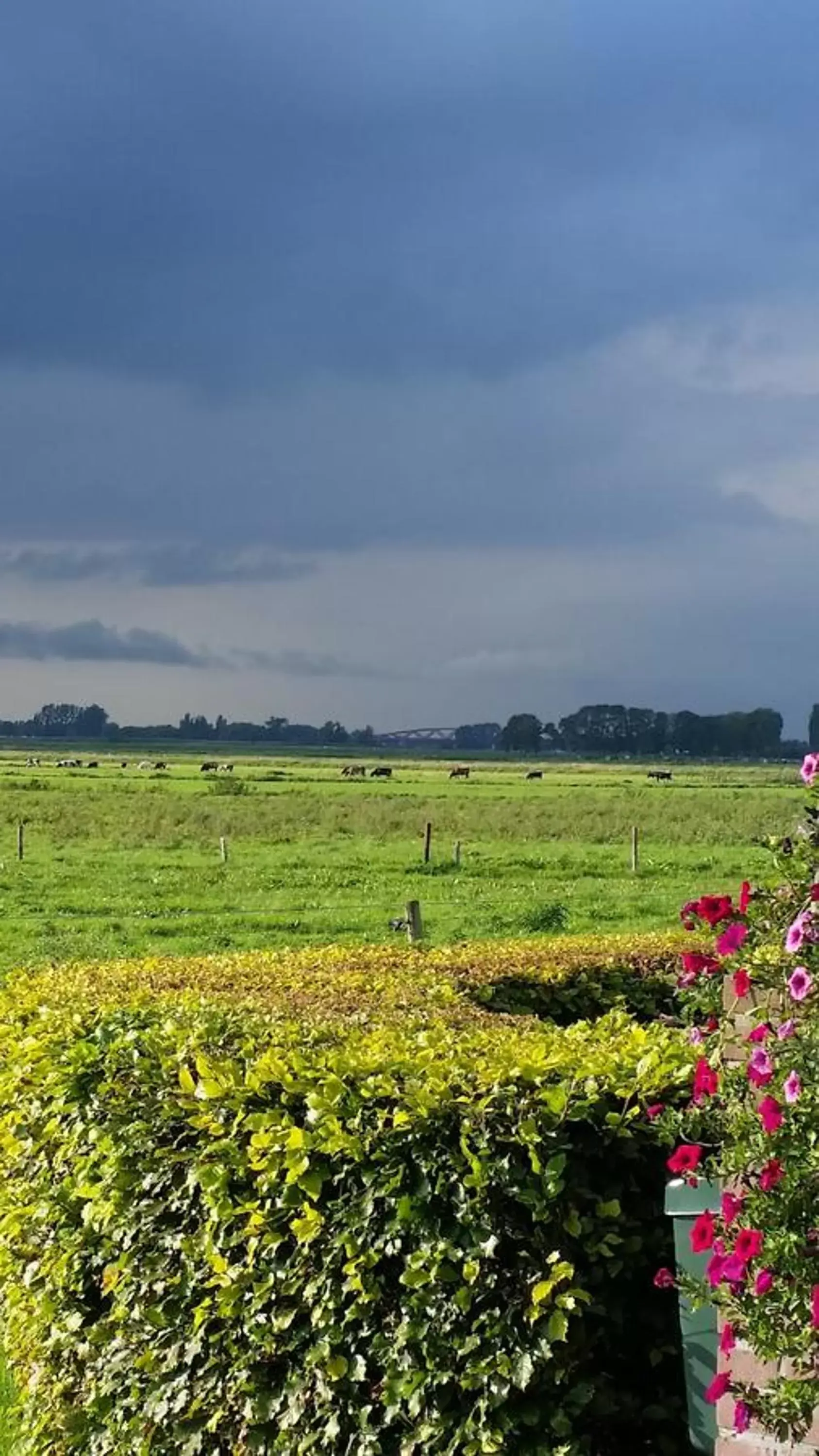 Natural landscape in B&B de Rivierduin