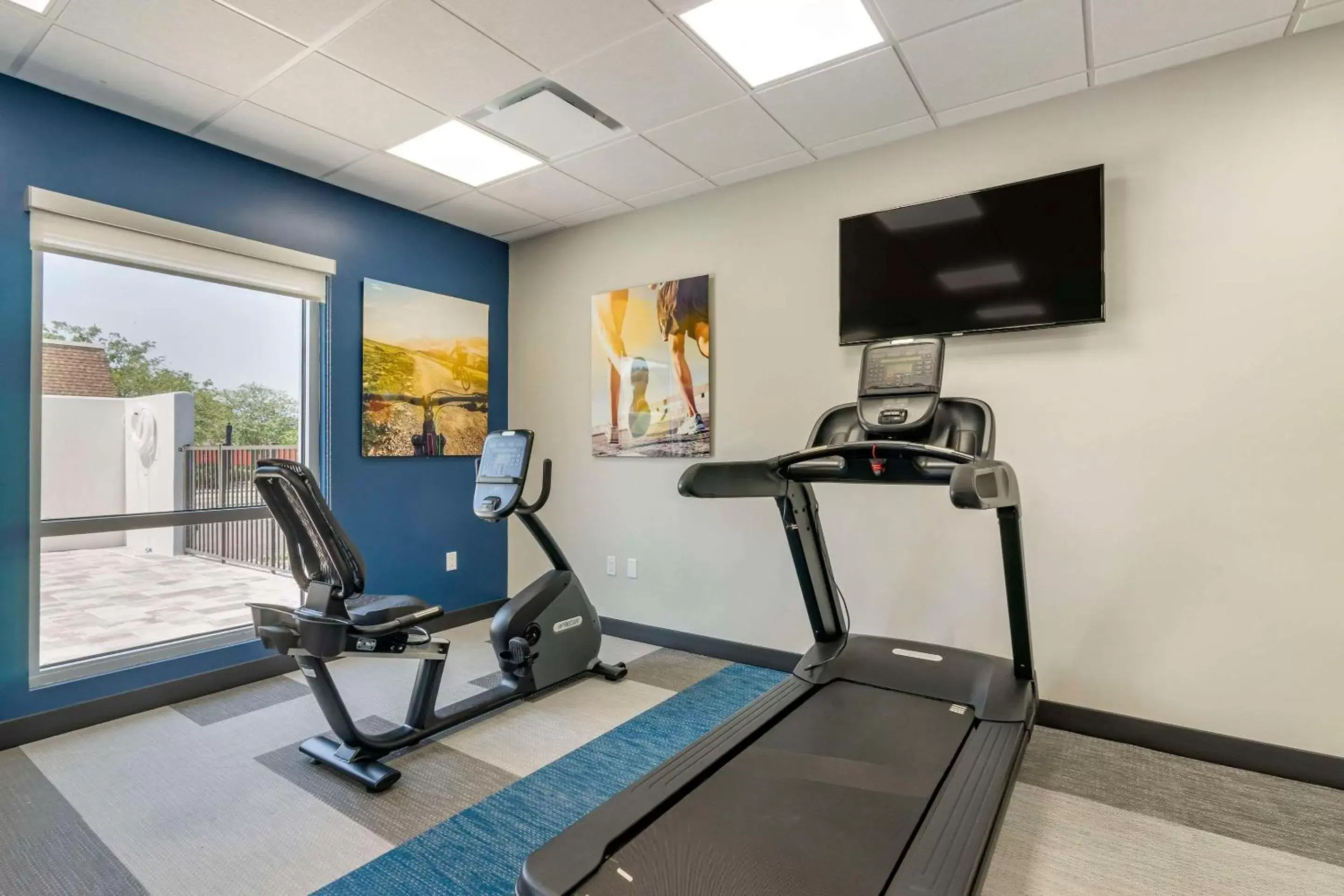 Fitness centre/facilities, Fitness Center/Facilities in Comfort Inn & Suites New Port Richey Downtown District