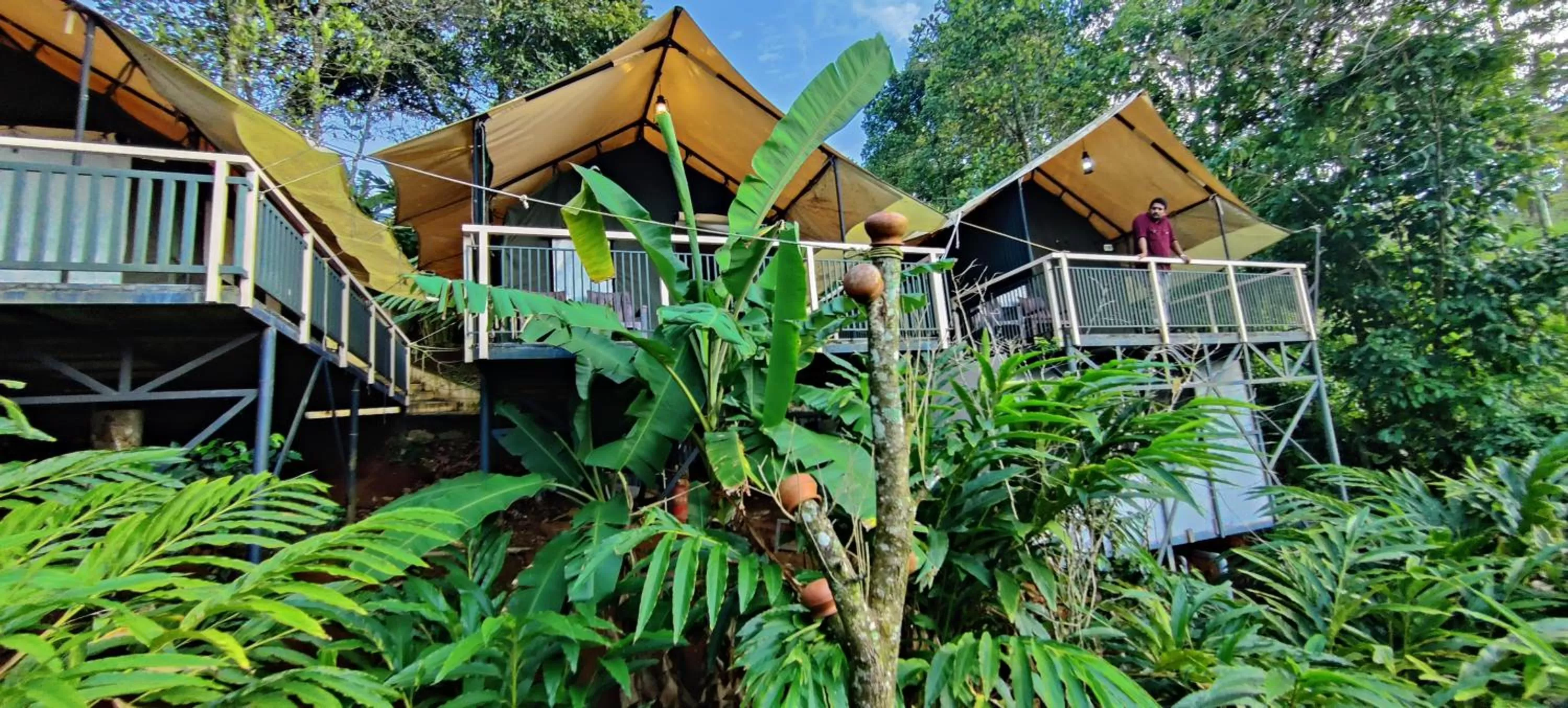 Property Building in Chalona Jungle Vibe