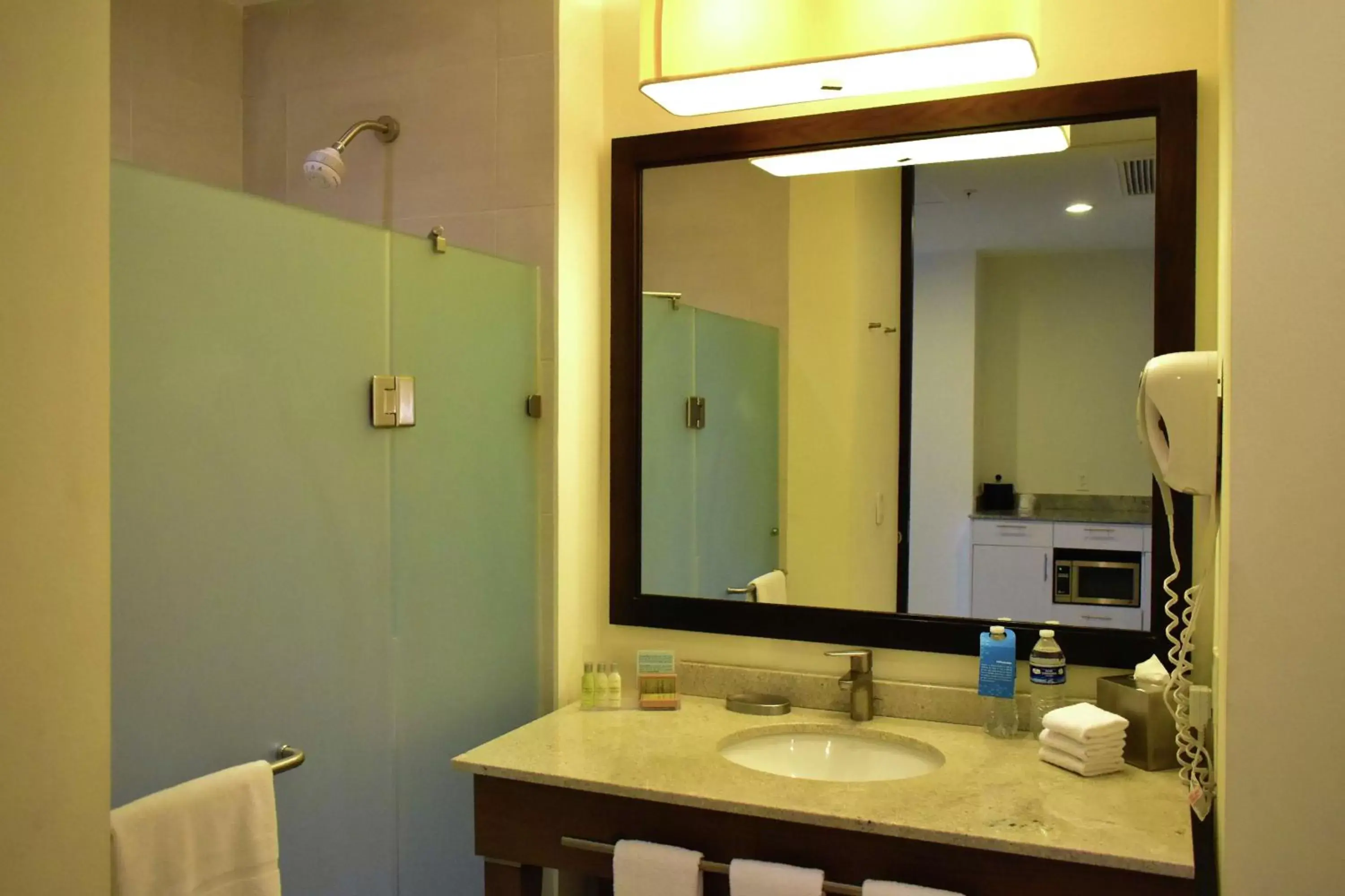 Bathroom in Hampton Inn by Hilton Ciudad del Carmen