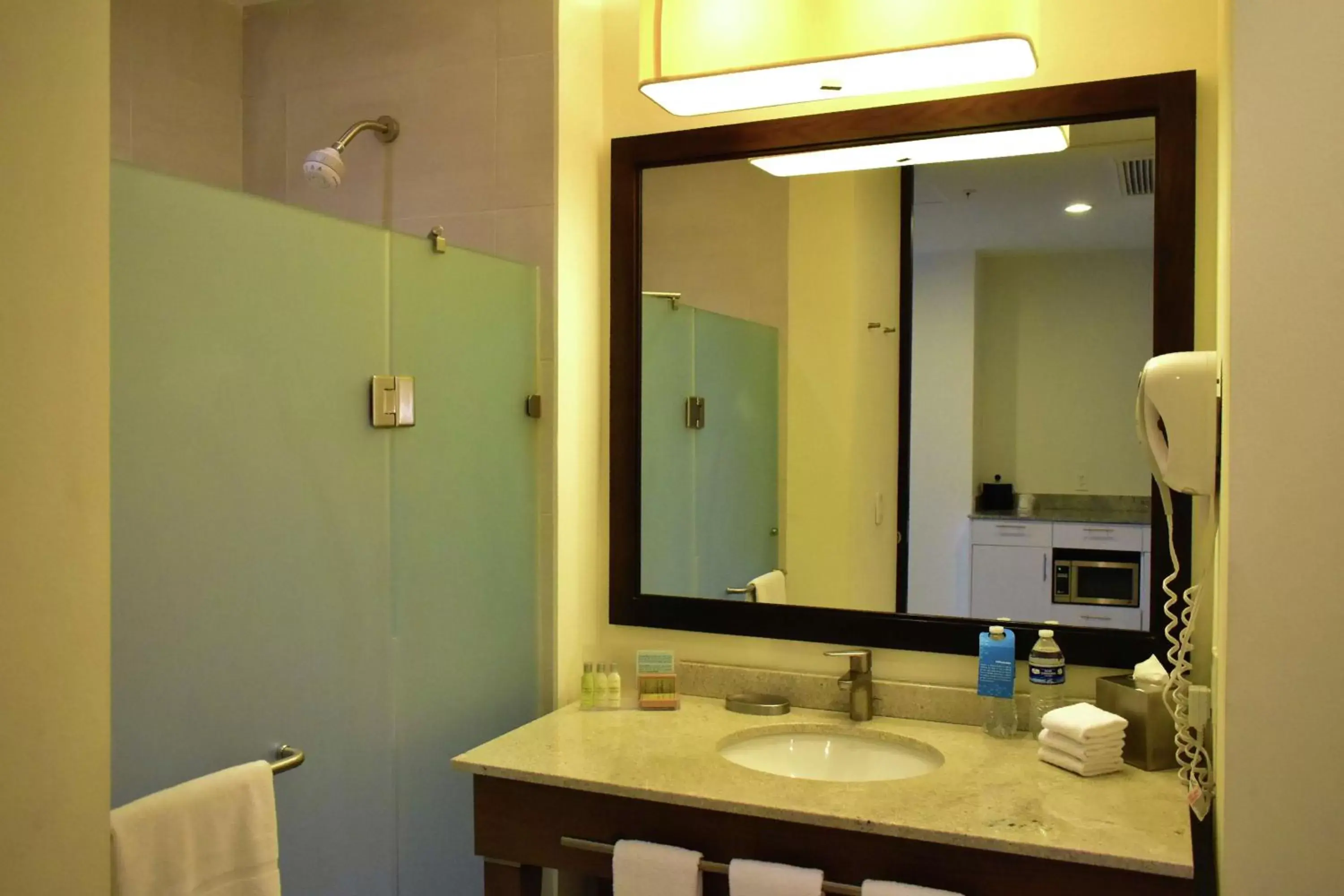 Bathroom in Hampton Inn by Hilton Ciudad del Carmen Bathroom in Hampton Inn by Hilton Ciudad del Carmen