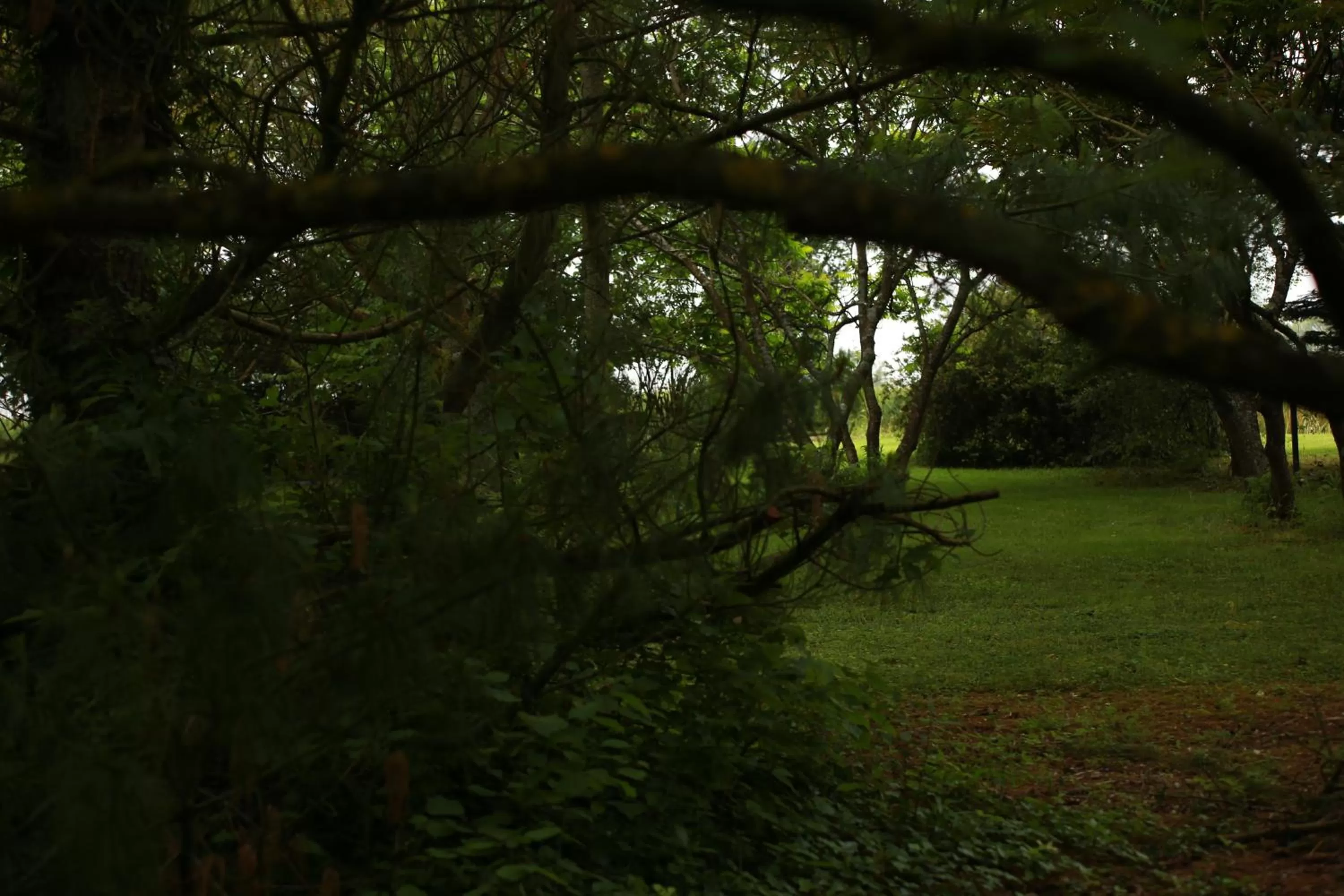 Property building in Les Rêves de Flamboin
