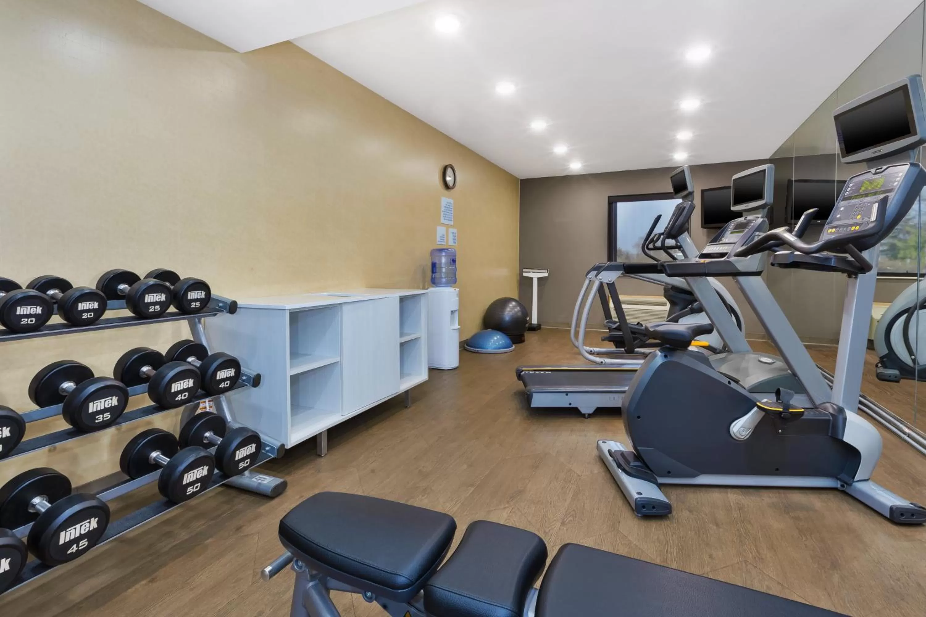 Fitness centre/facilities in Holiday Inn Express Detroit-Warren/General Motors Technology Center by IHG